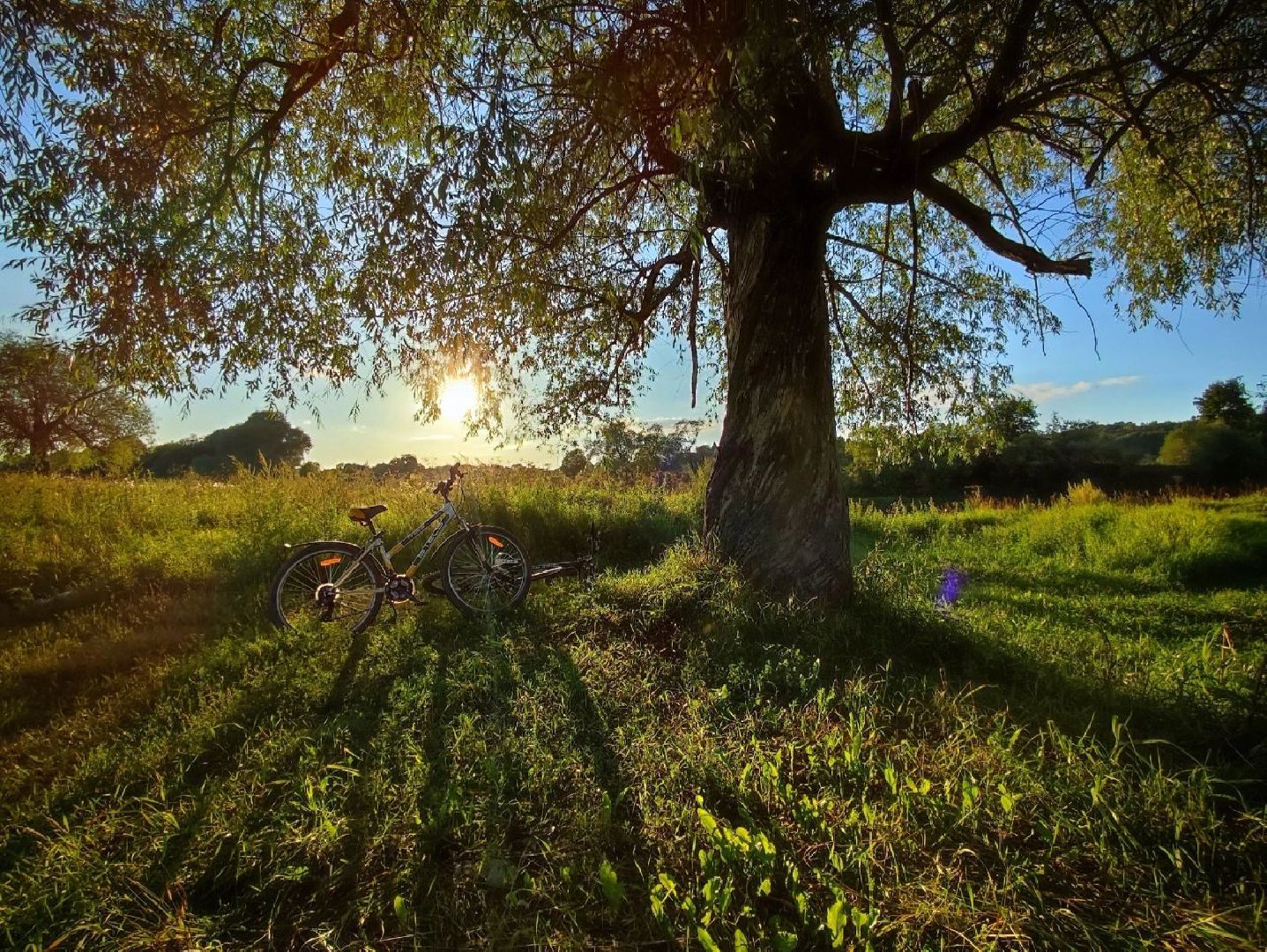 Звенигород, Туризм, Места для фотосессий, Красивые места Подмосковья,