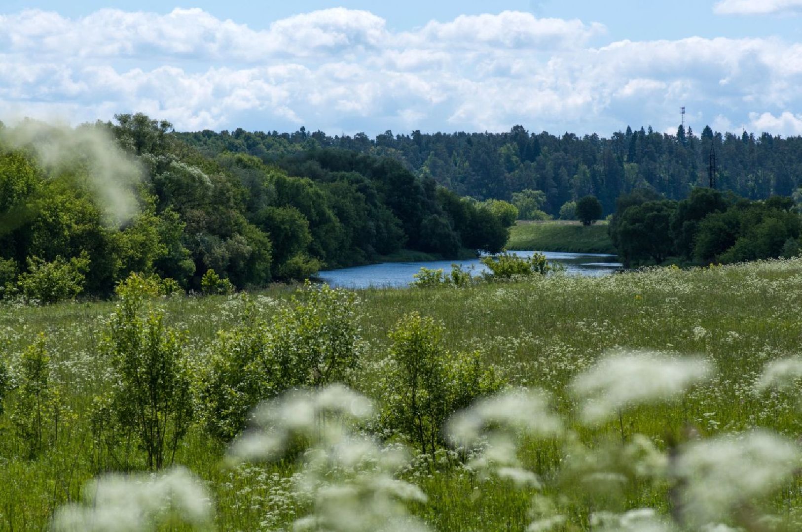 Звенигород, Туризм, Места для фотосессий, Красивые места Подмосковья,