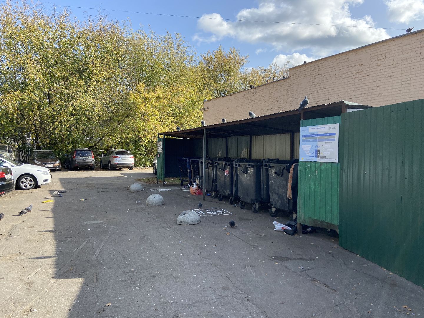 мусор, контейнерная площадка,