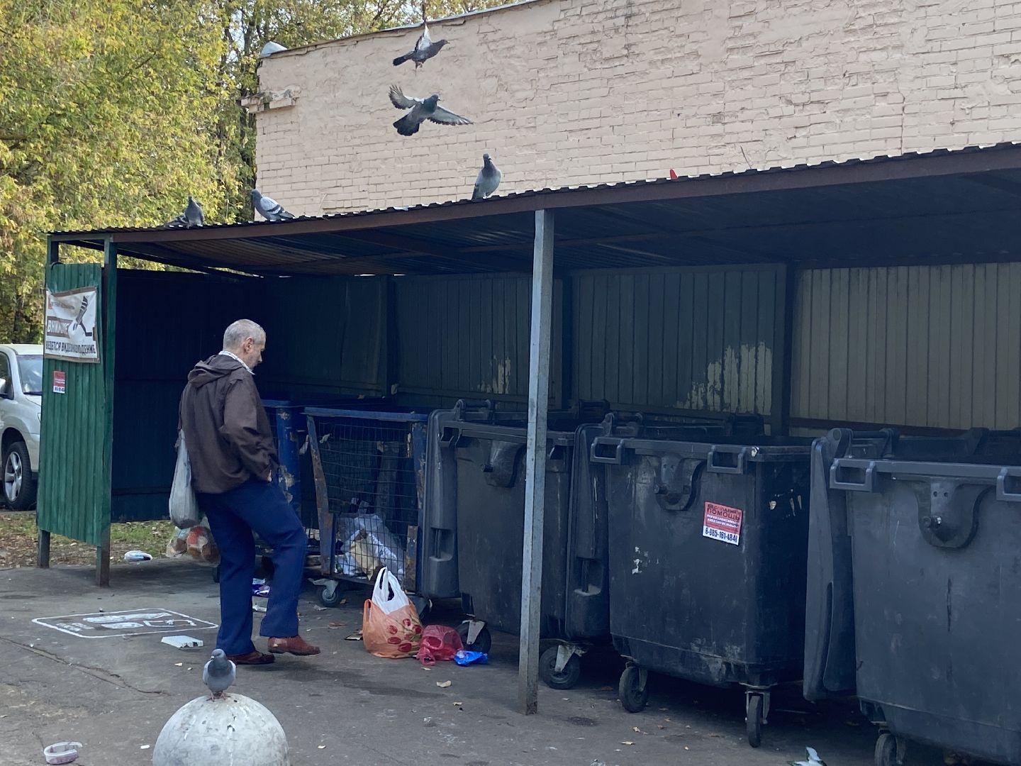 мусор, контейнерная площадка,