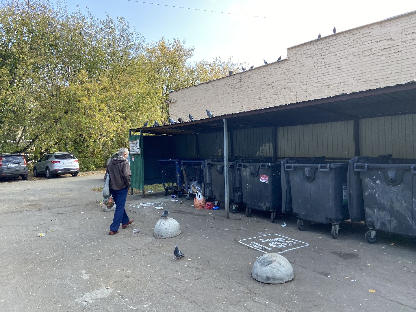 мусор, контейнерная площадка,