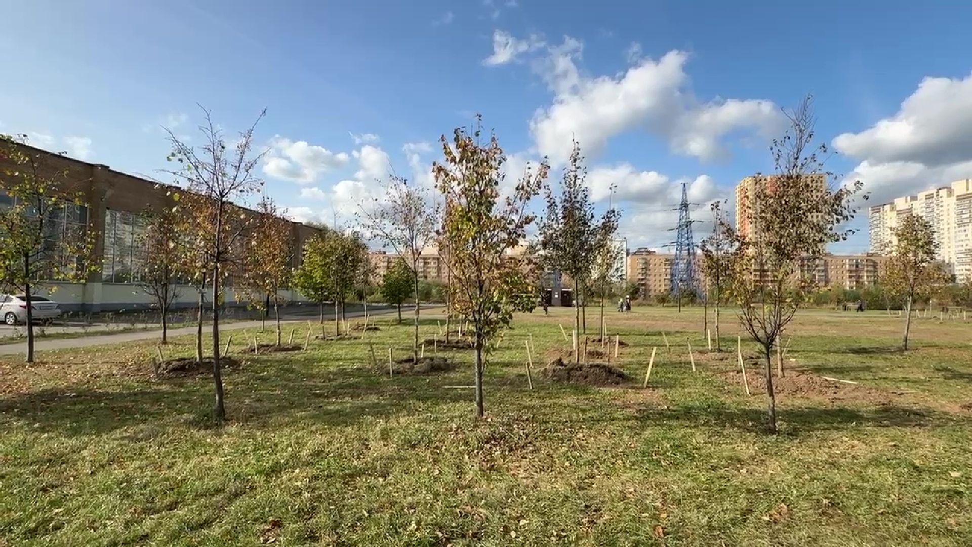 Реутов, парк, благоустройство, перголы, фонтан, деревья,