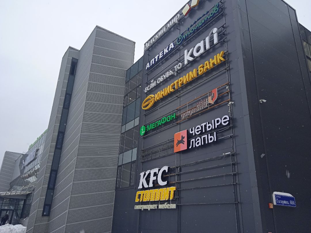 Академия ТОП, мастер-класс, искусственный интеллект, чат-бот, Жуковский