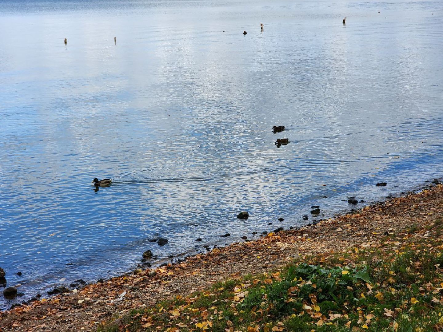 Солнечногорск, Набережная, Озеро, Сенеж, Жители, Прогулка, туризм, туризм в подмосковье, подмосковье, реутов, сергиев посад, подольск,