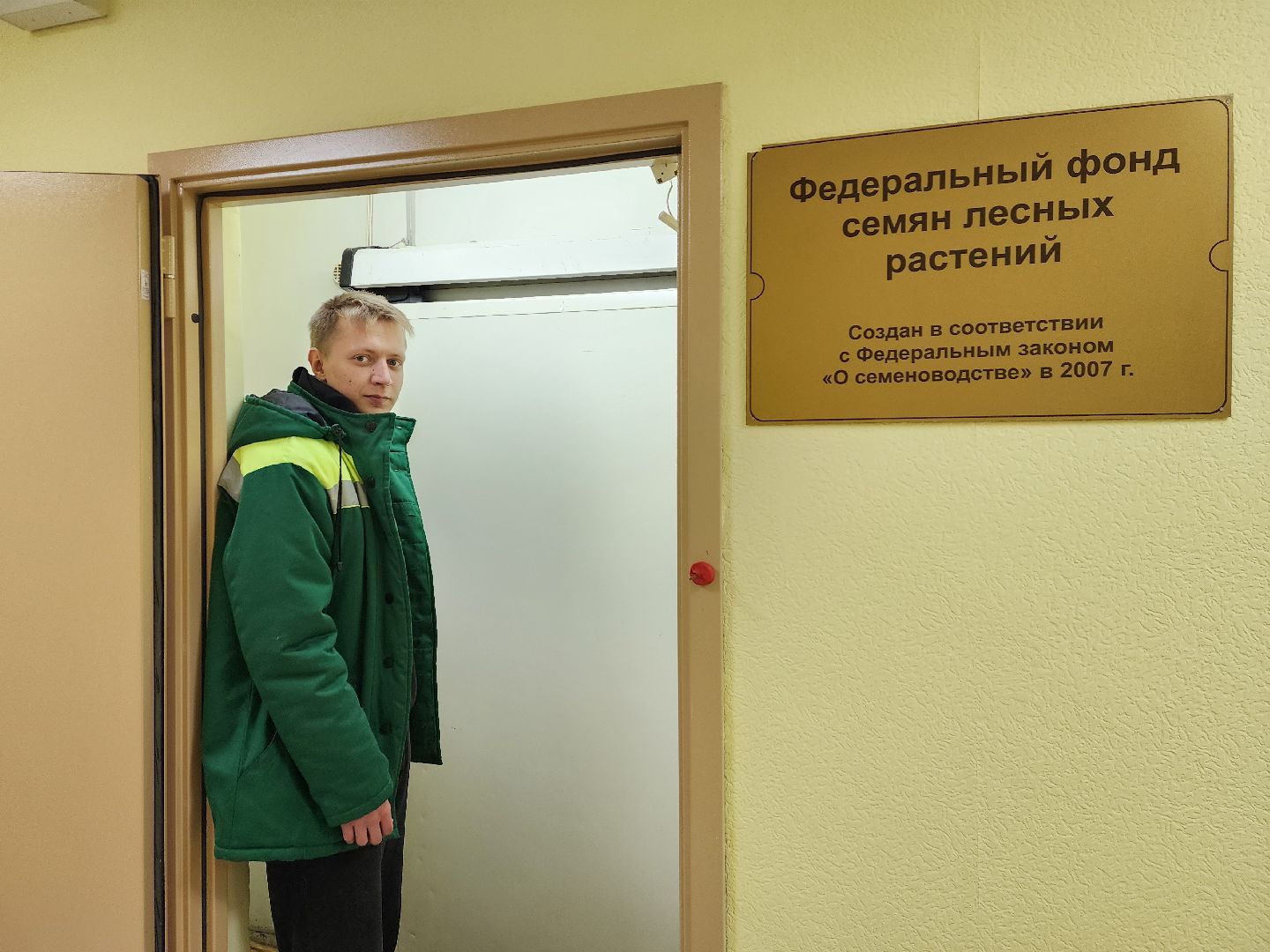 пушкино, лес, технологии, природа,