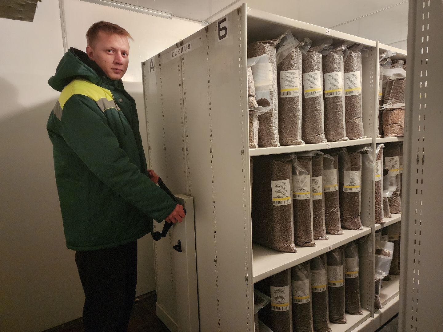 пушкино, лес, технологии, природа,