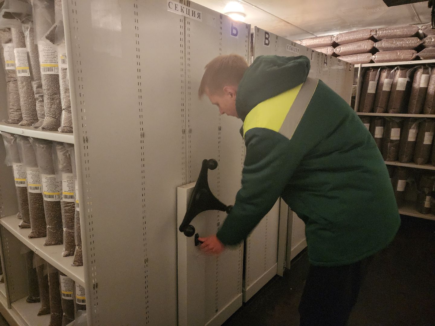 пушкино, лес, технологии, природа,