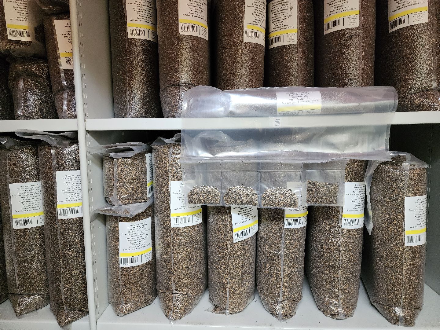 пушкино, лес, технологии, природа,