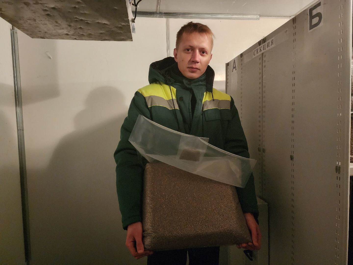 пушкино, лес, технологии, природа,