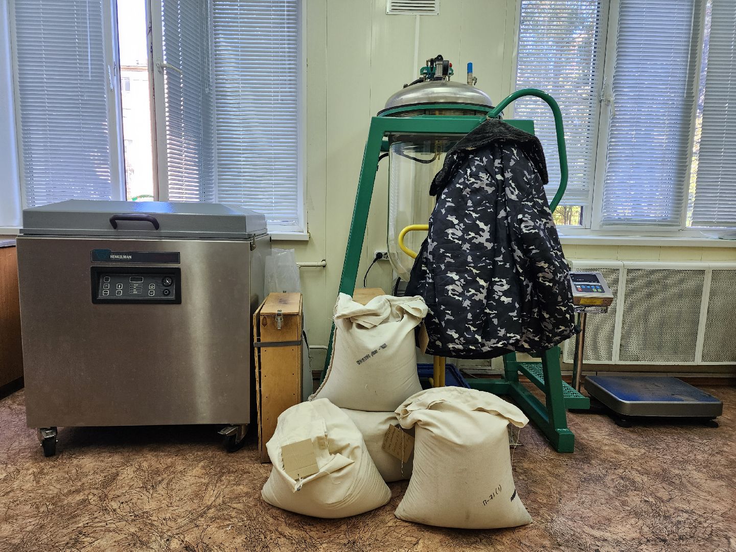 пушкино, лес, технологии, природа,