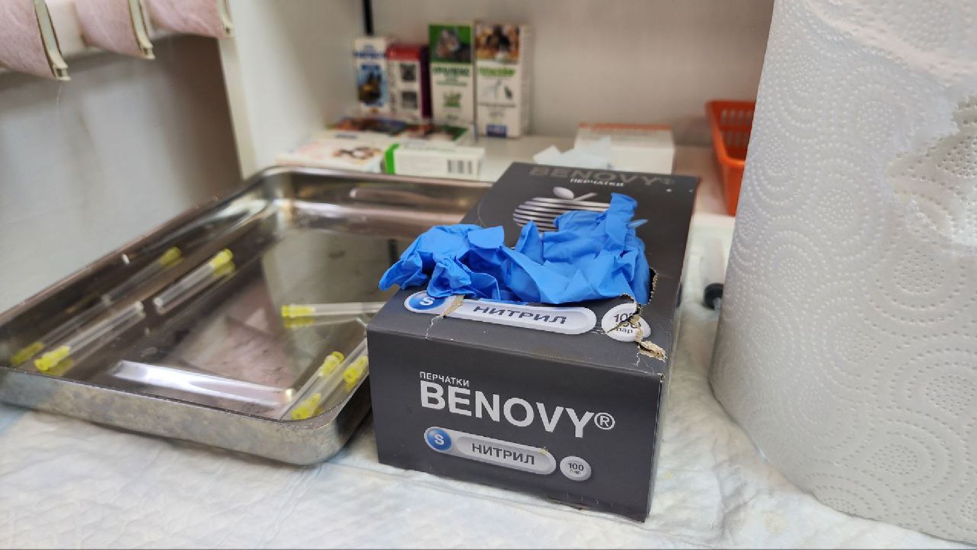 Дмитров, Ветстанция, Чипирование, Минсельхоз,