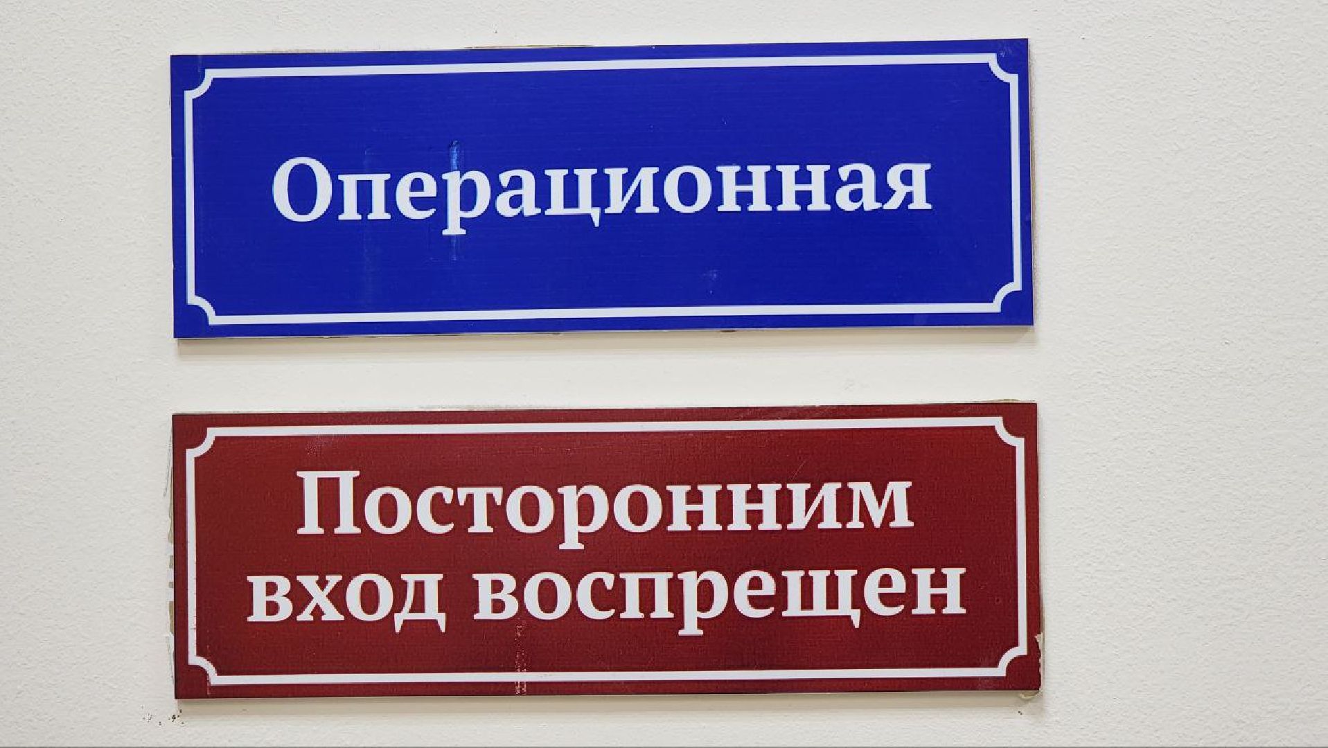 Дмитров, Ветстанция, Чипирование, Минсельхоз,