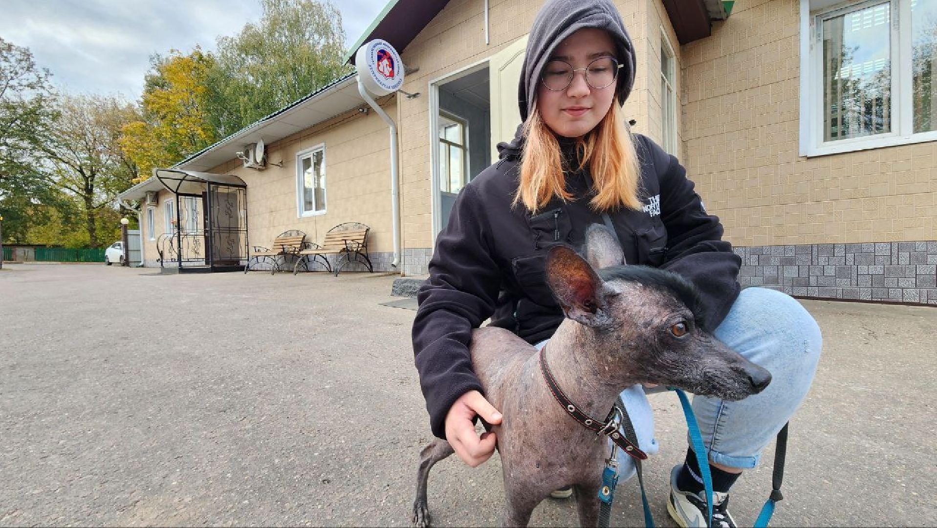 Дмитров, Ветстанция, Чипирование, Минсельхоз,