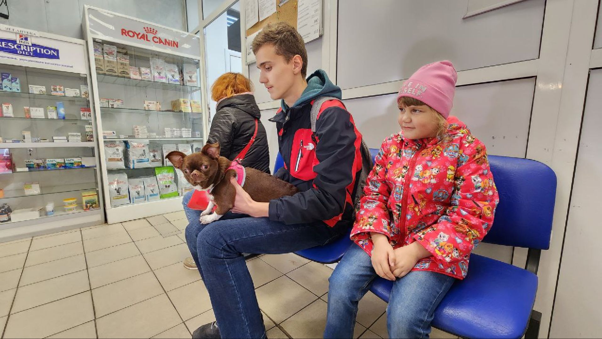 Дмитров, Ветстанция, Чипирование, Минсельхоз,