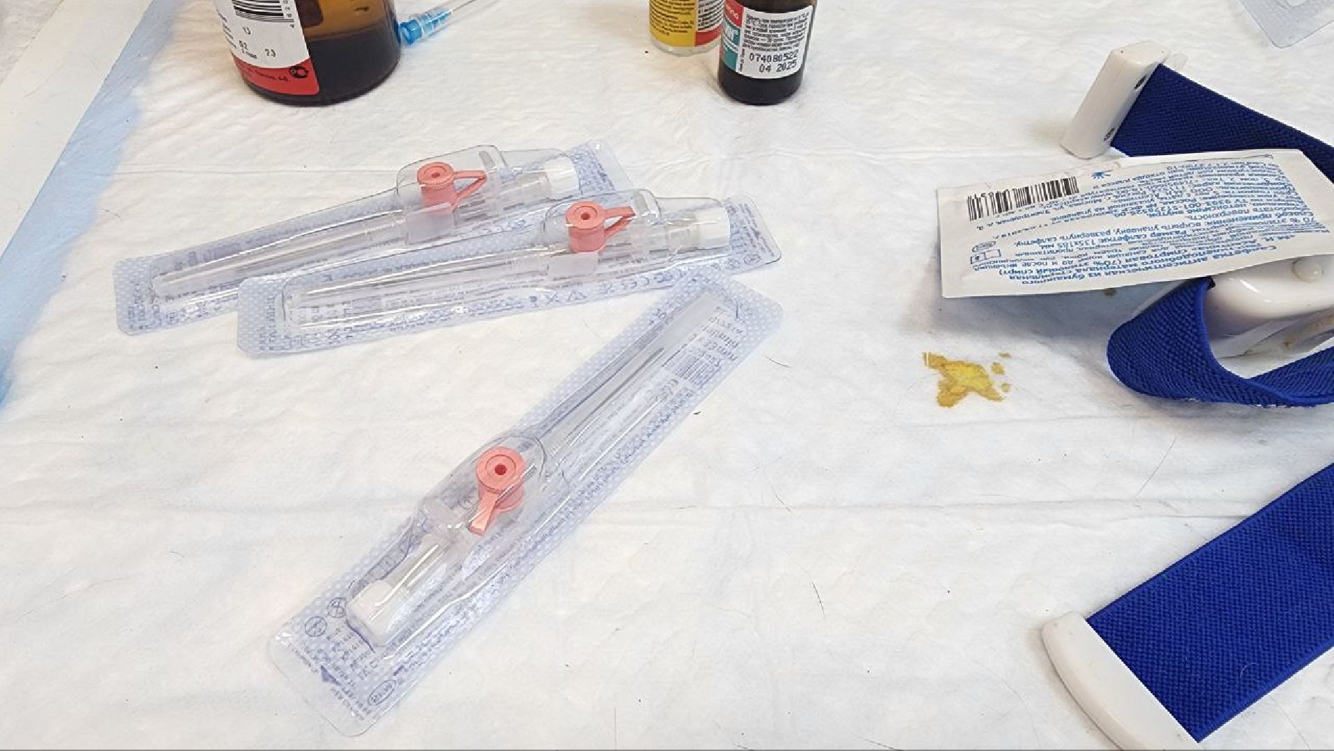 Дмитров, Ветстанция, Чипирование, Минсельхоз,