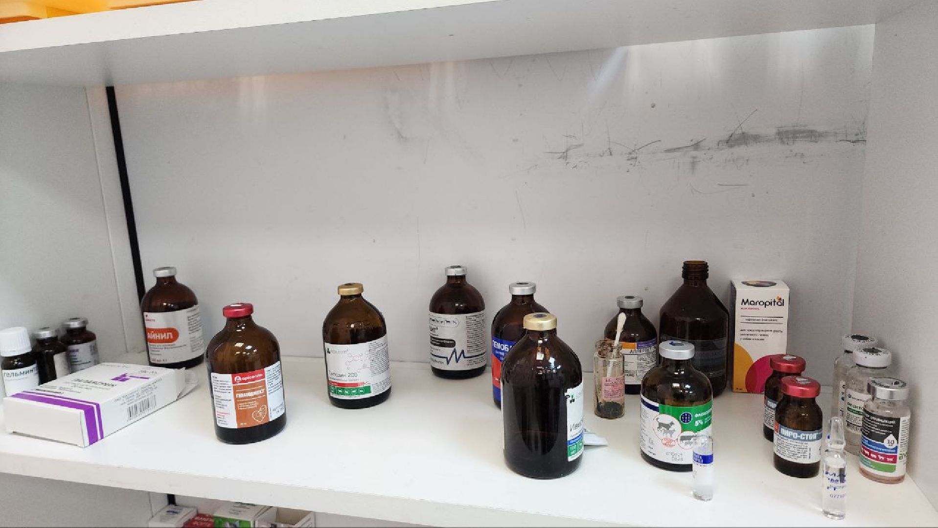 Дмитров, Ветстанция, Чипирование, Минсельхоз,