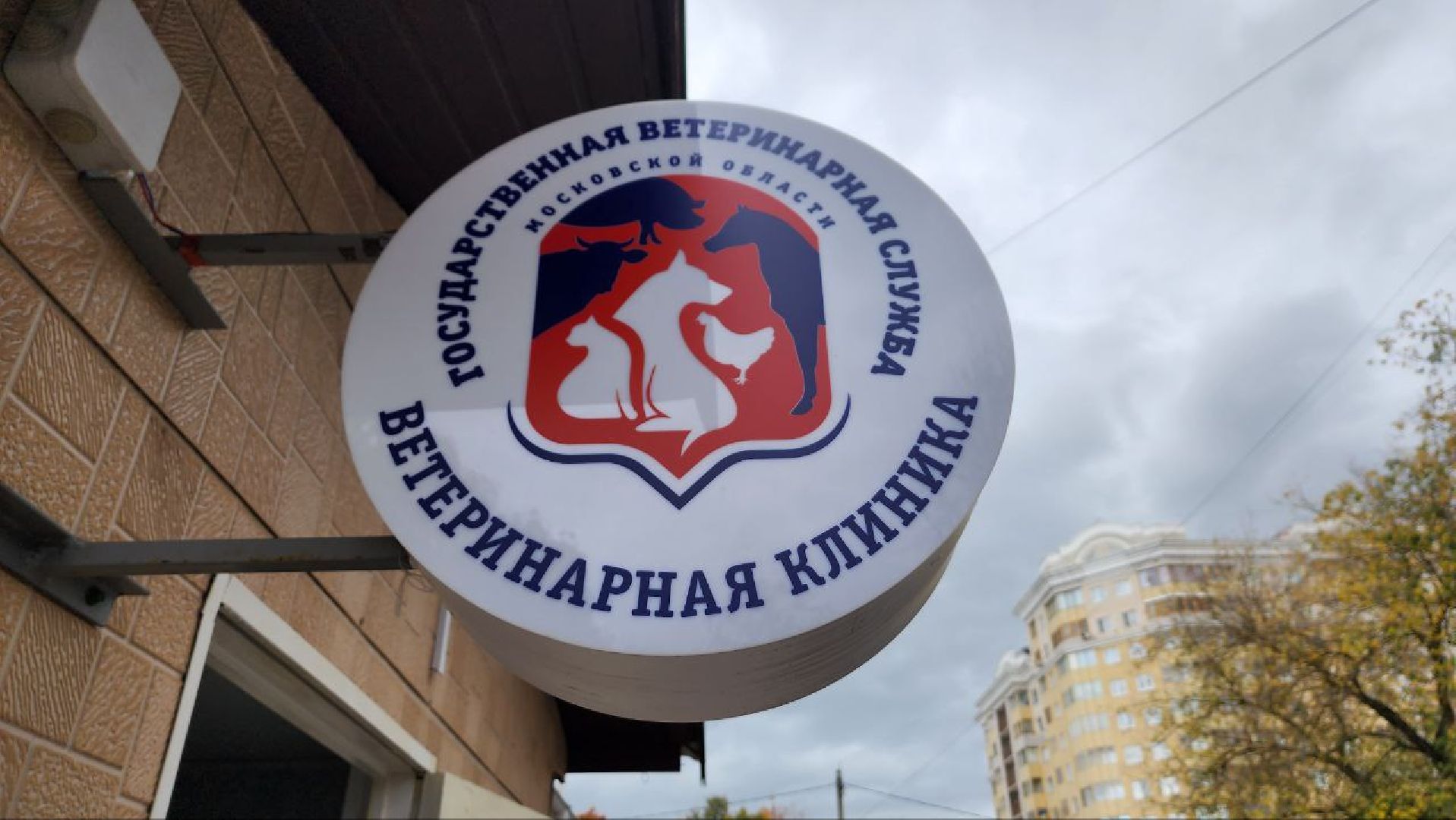 Дмитров, Ветстанция, Чипирование, Минсельхоз,