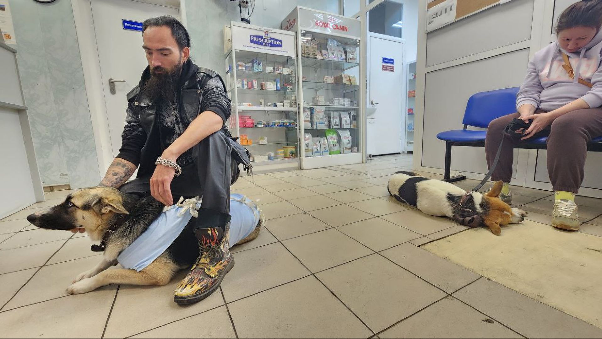 Дмитров, Ветстанция, Чипирование, Минсельхоз,