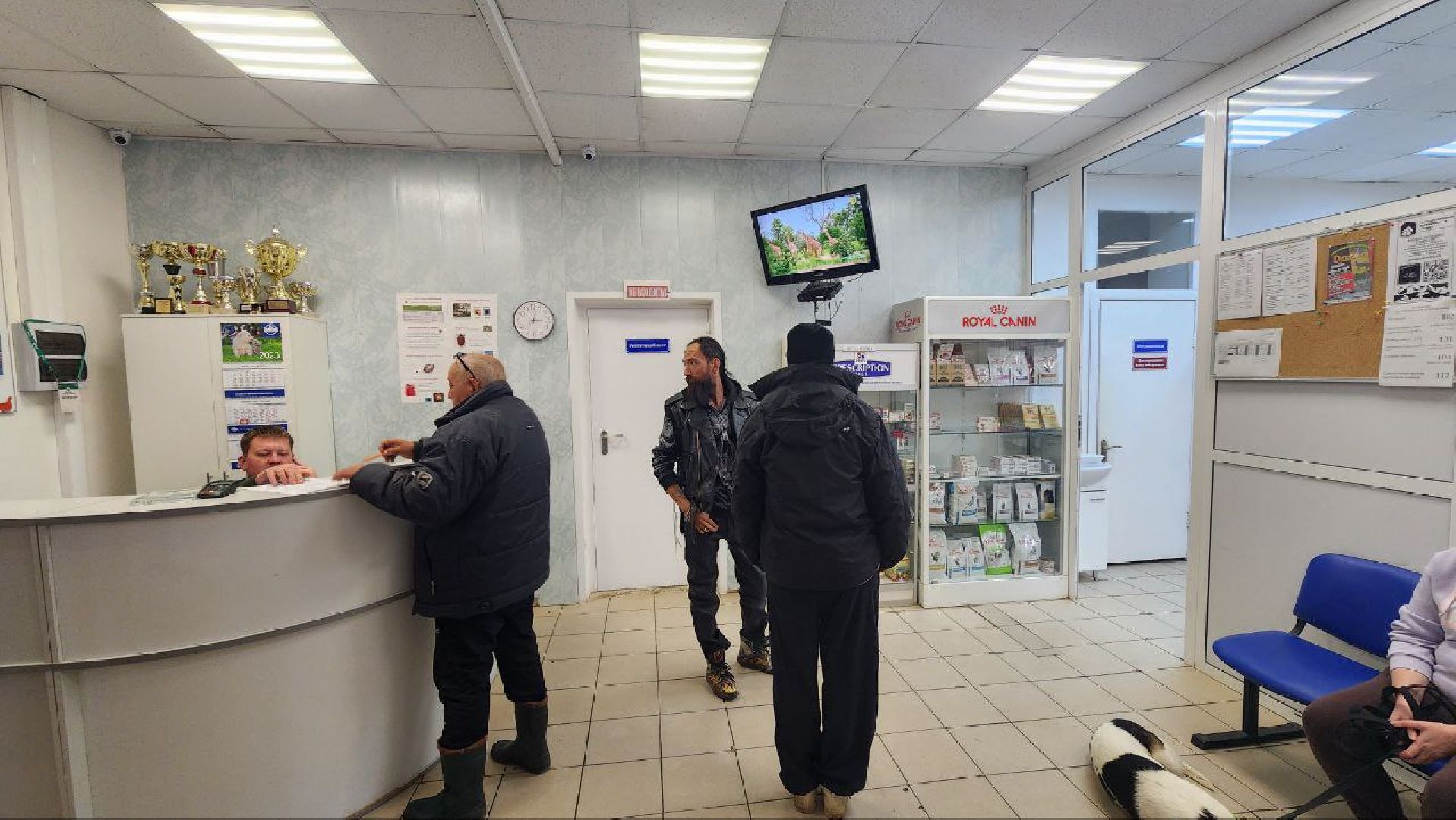 Дмитров, Ветстанция, Чипирование, Минсельхоз,