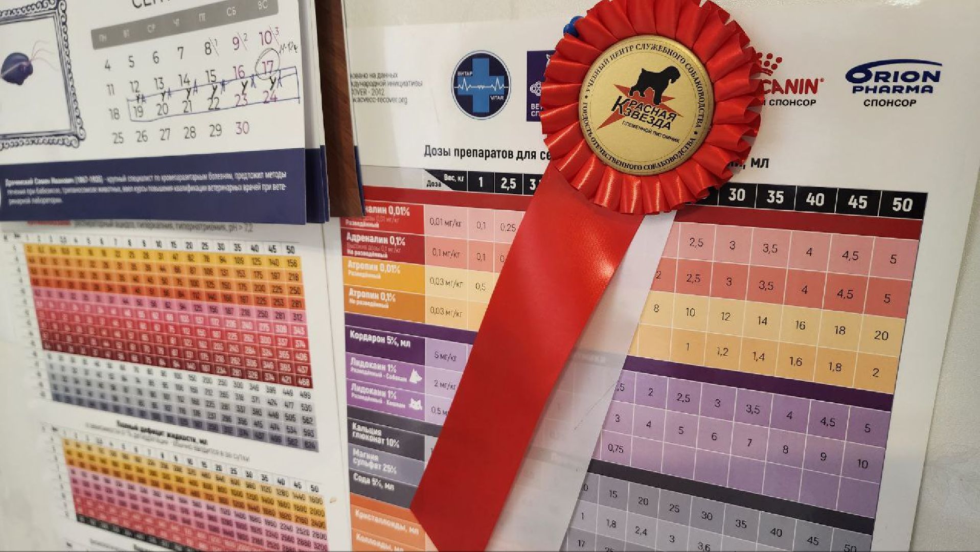 Дмитров, Ветстанция, Чипирование, Минсельхоз,