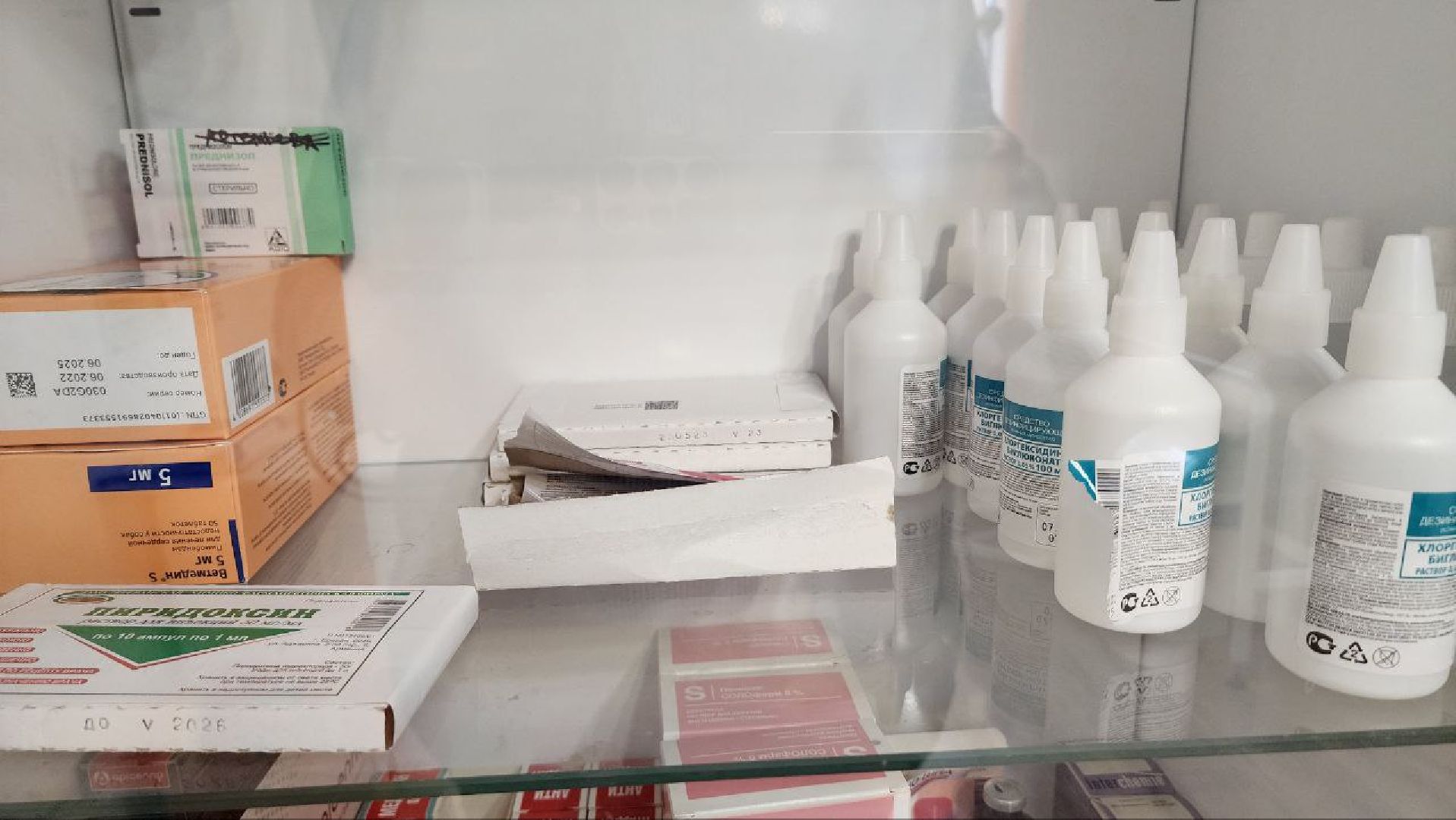 Дмитров, Ветстанция, Чипирование, Минсельхоз,