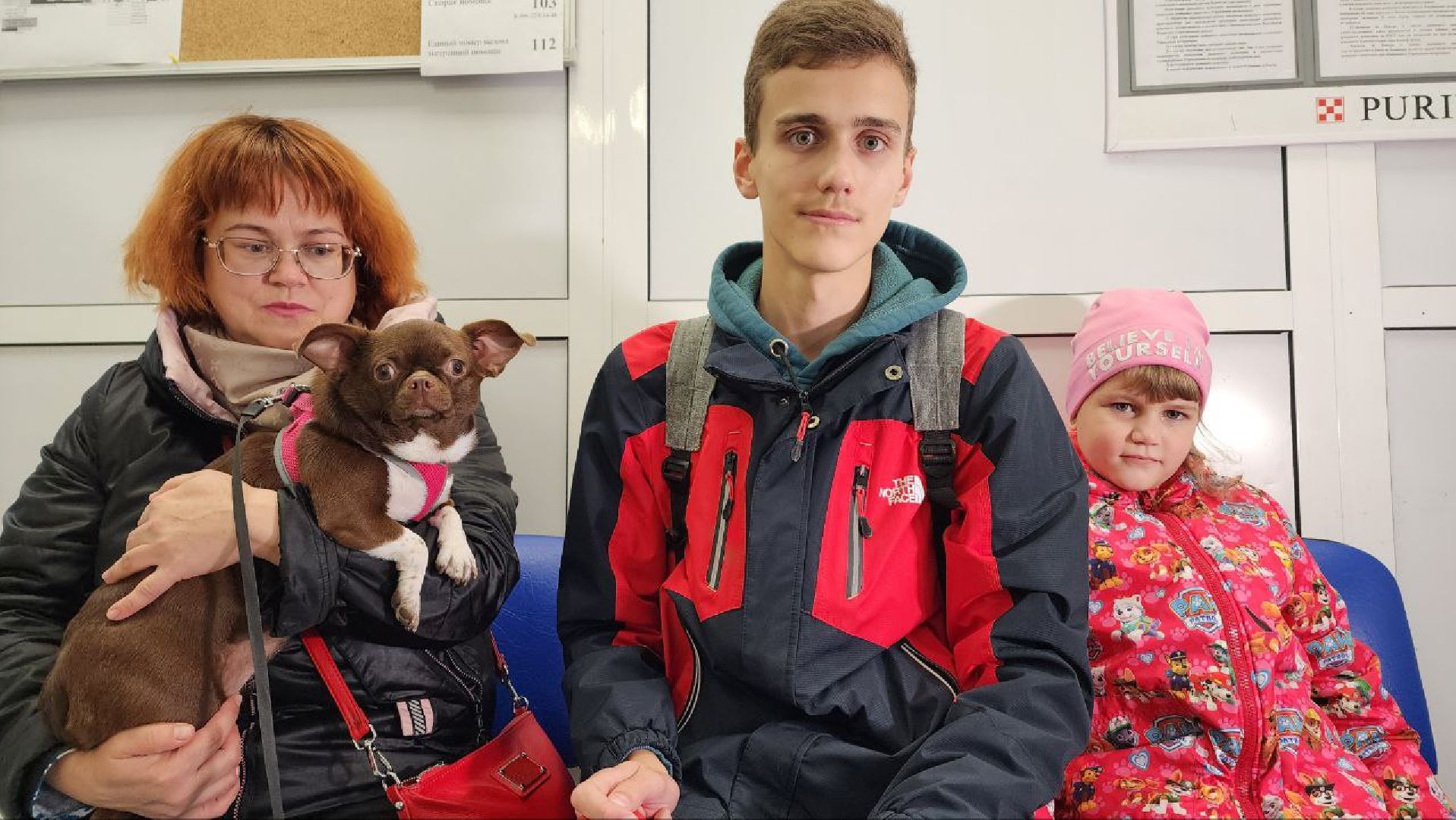 Дмитров, Ветстанция, Чипирование, Минсельхоз,