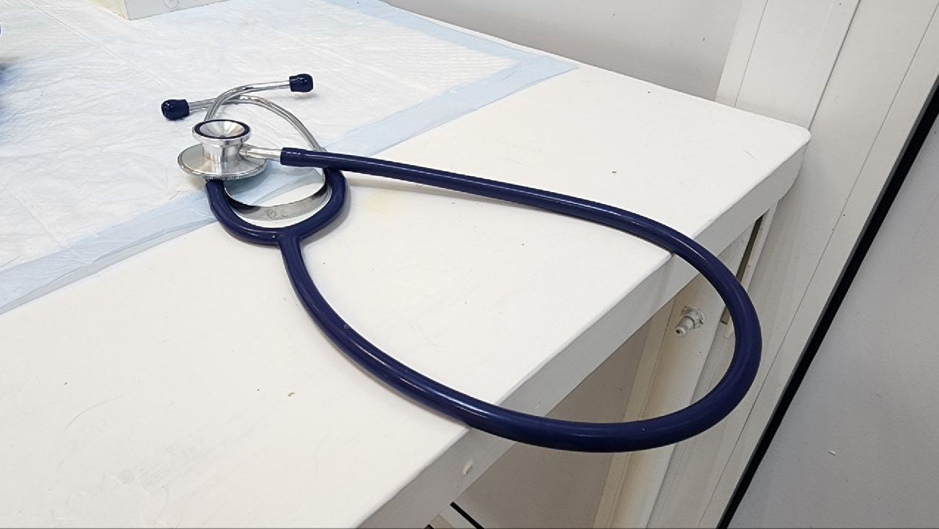 Дмитров, Ветстанция, Чипирование, Минсельхоз,