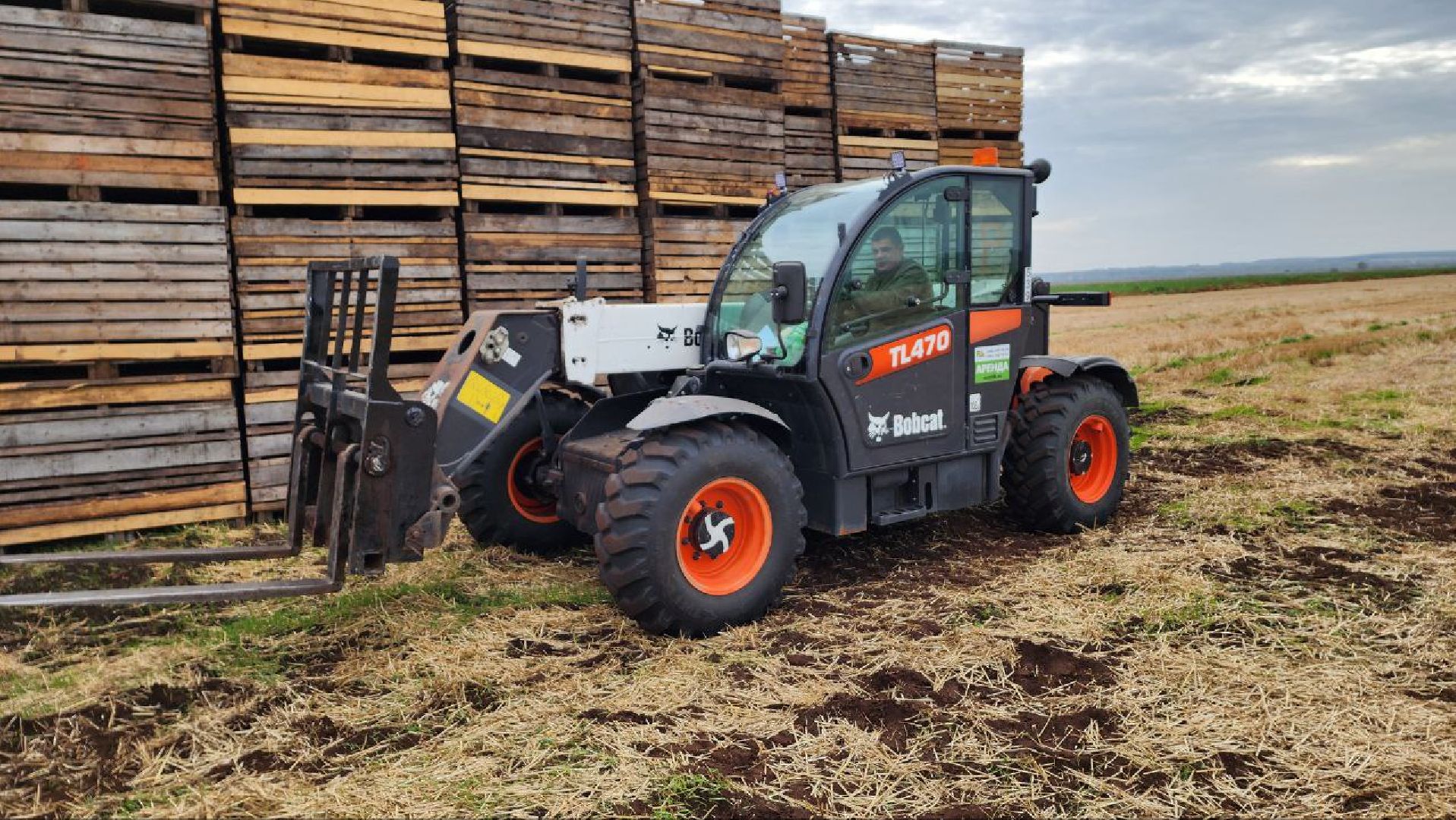 Дмитров, Мосагрофуд, Минсельхоз,