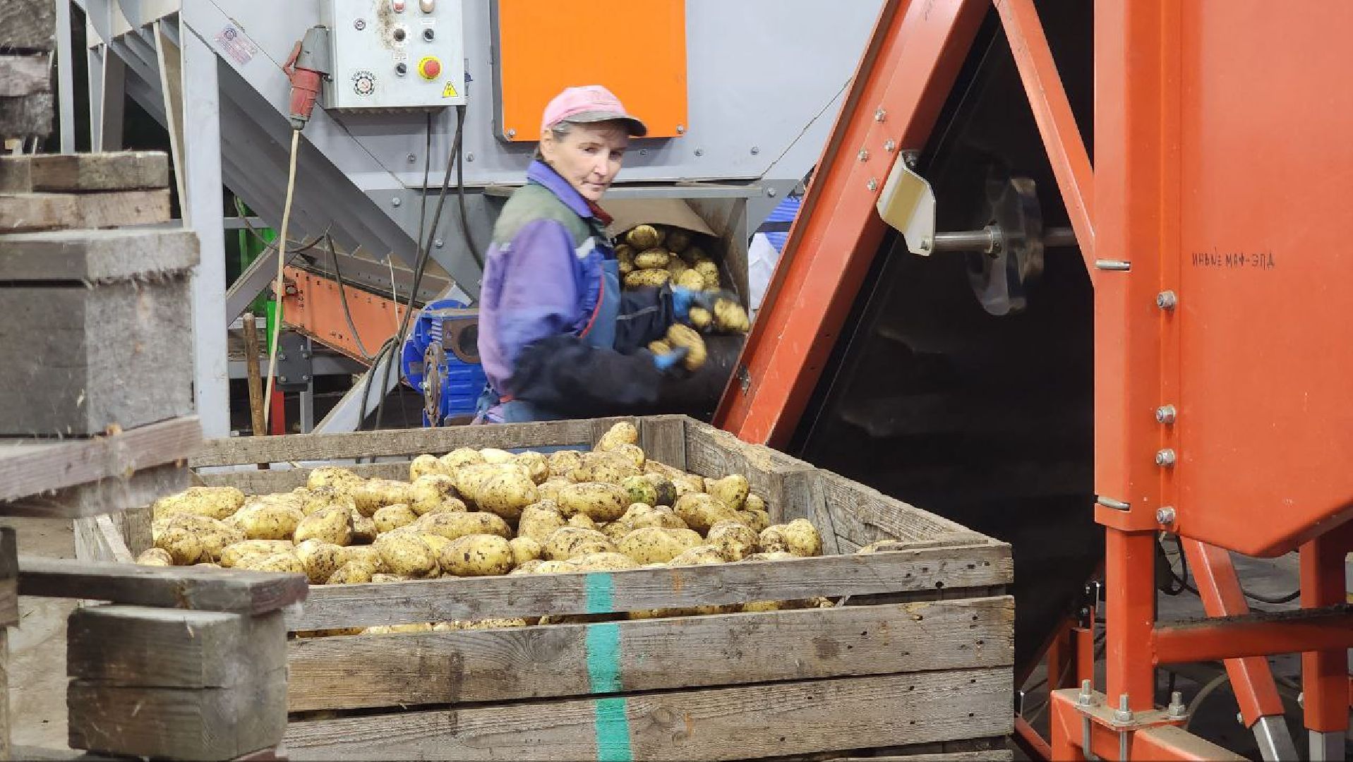 Дмитров, Мосагрофуд, Минсельхоз,