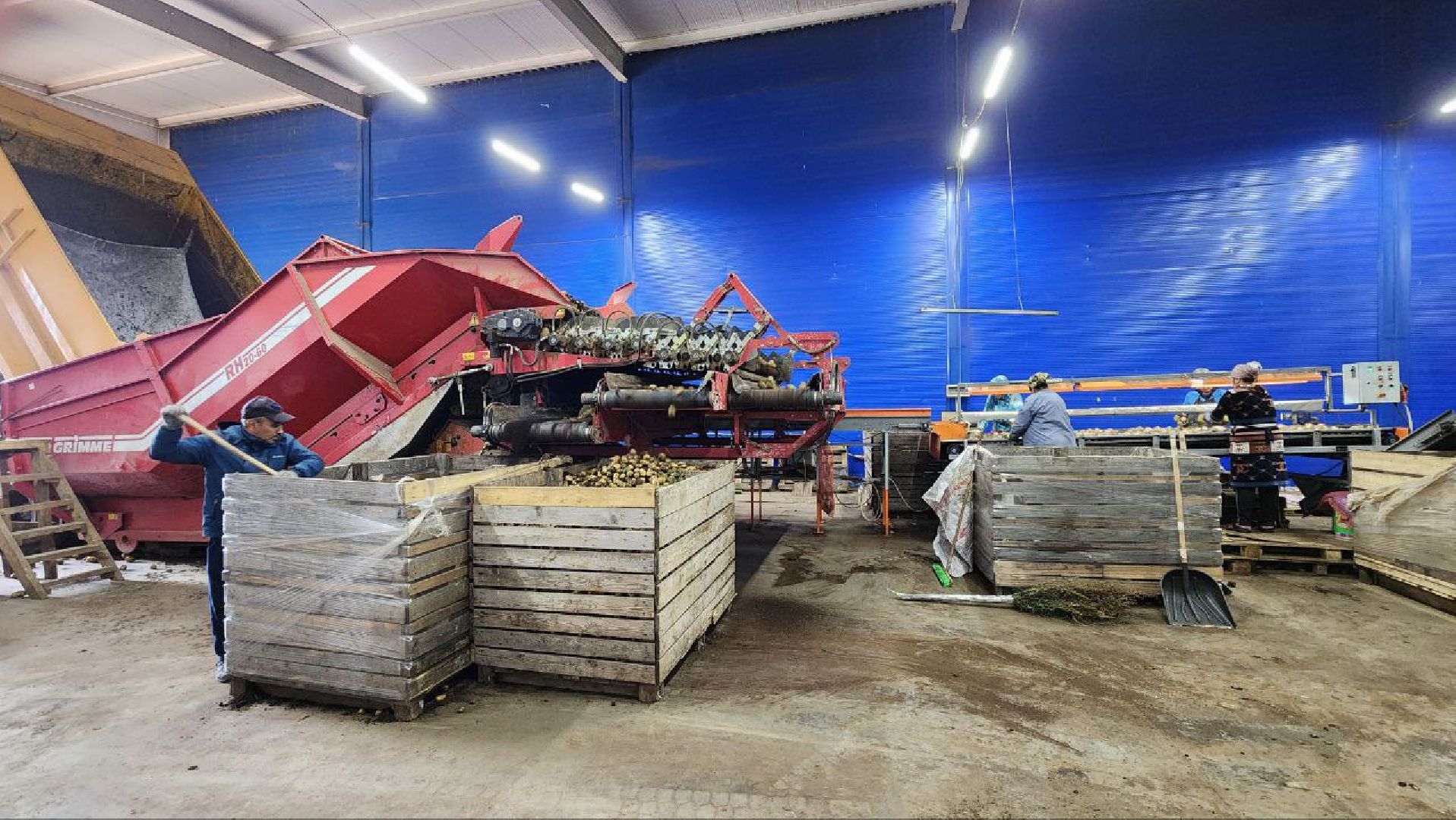 Дмитров, Мосагрофуд, Минсельхоз,