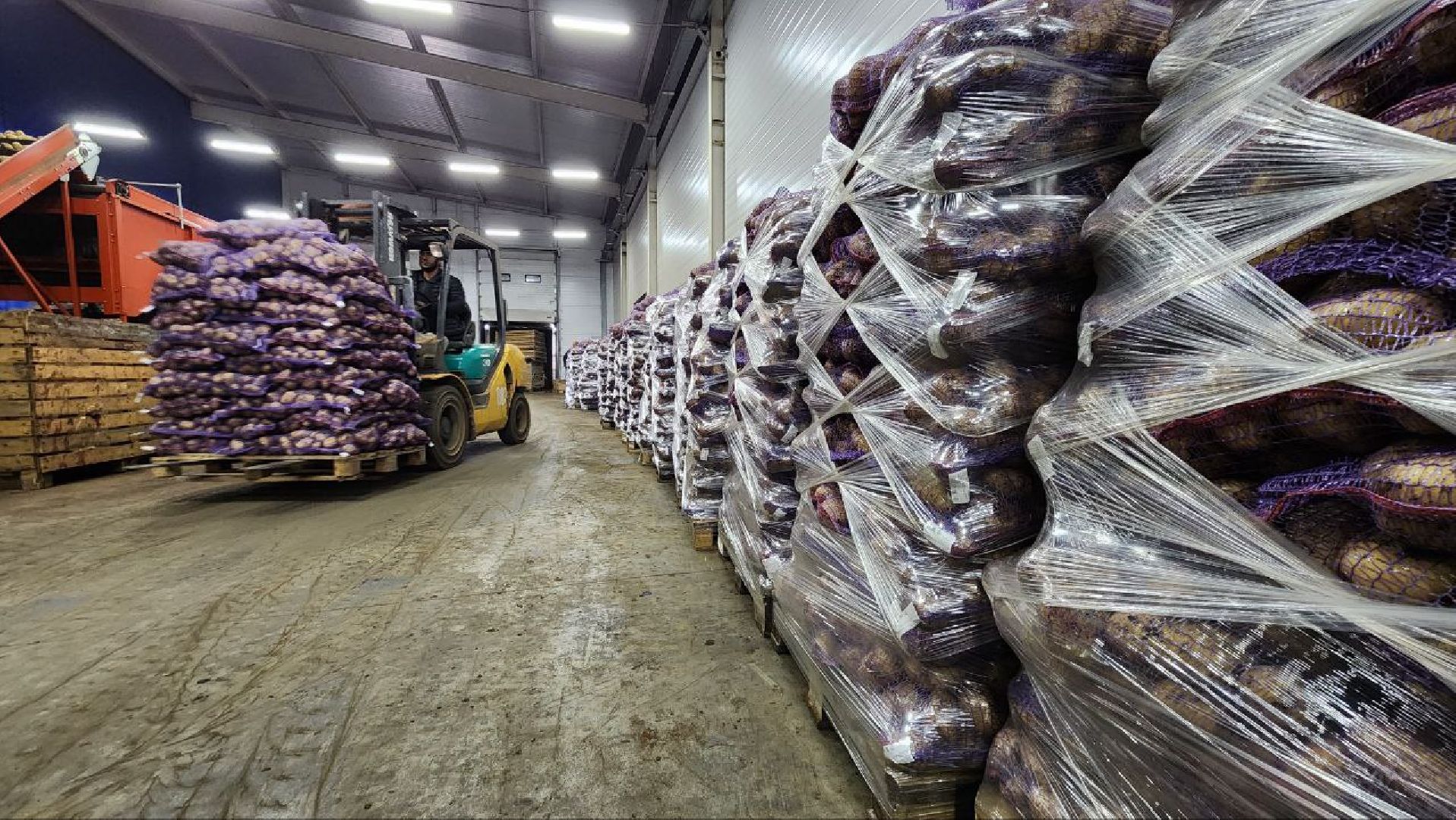 Дмитров, Мосагрофуд, Минсельхоз,