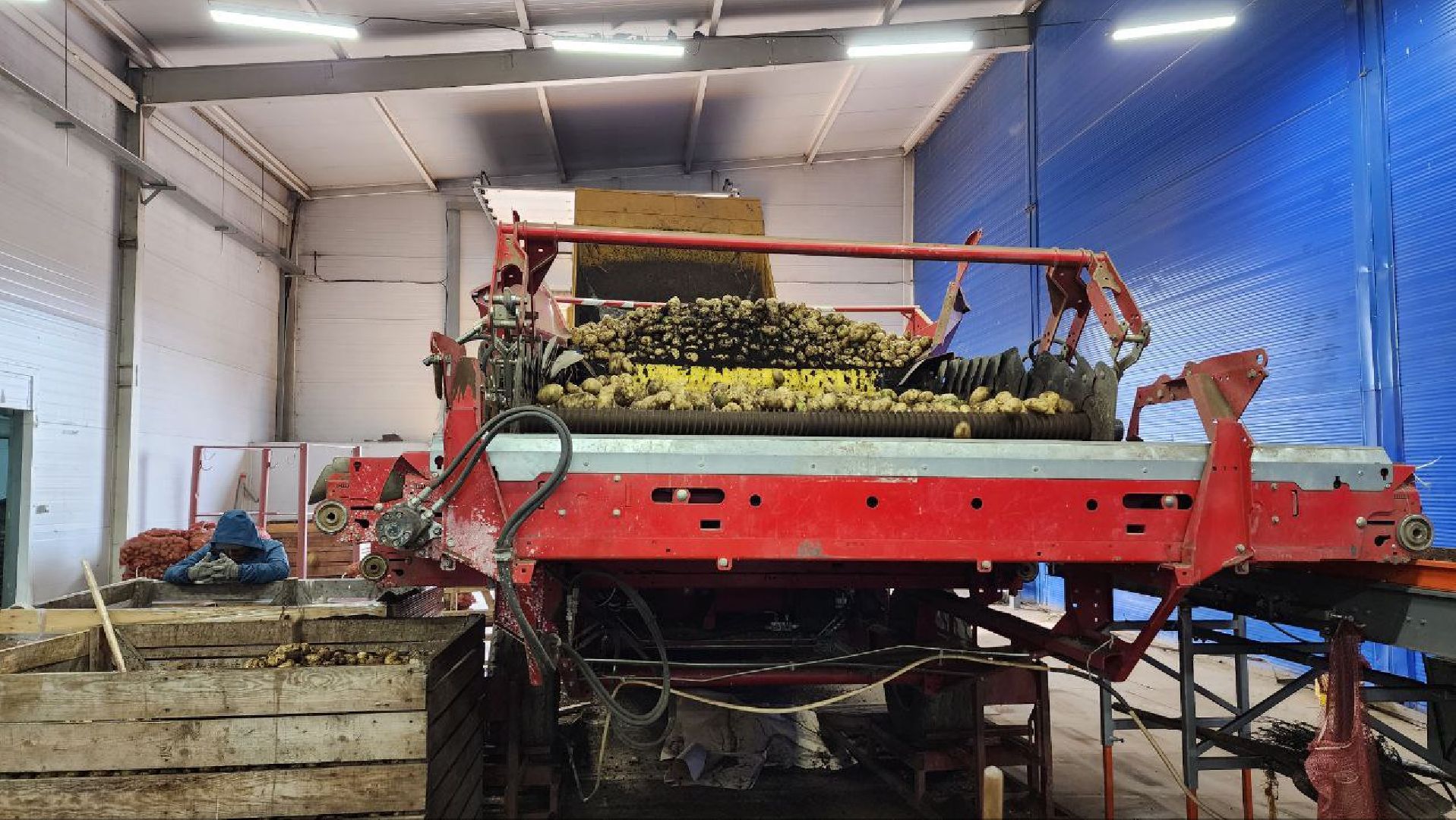 Дмитров, Мосагрофуд, Минсельхоз,