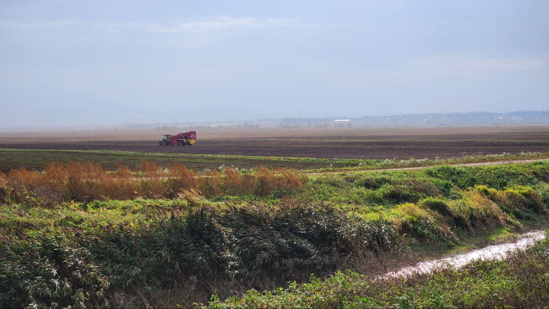 Дмитров, Мосагрофуд, Минсельхоз,