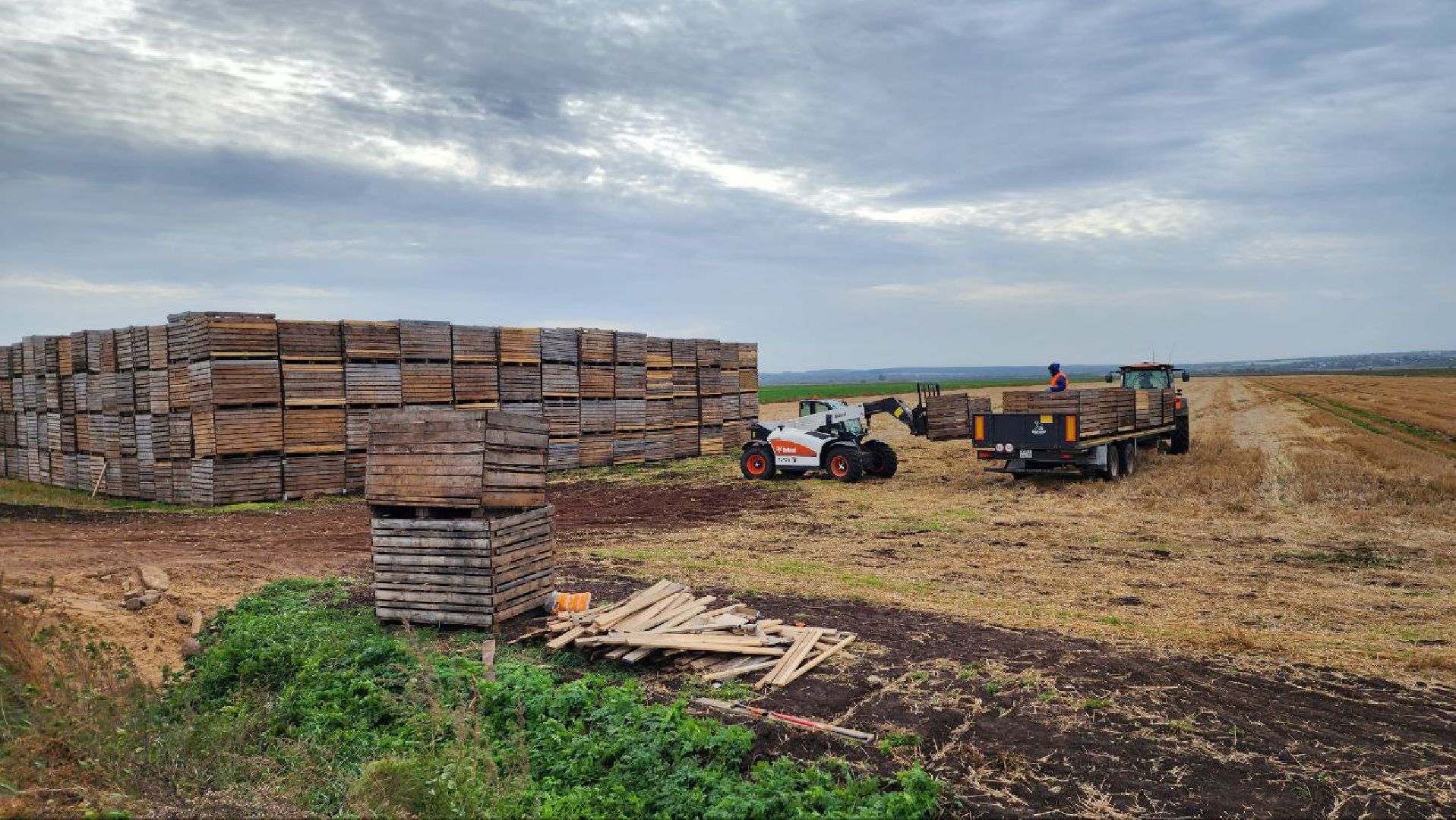 Дмитров, Мосагрофуд, Минсельхоз,