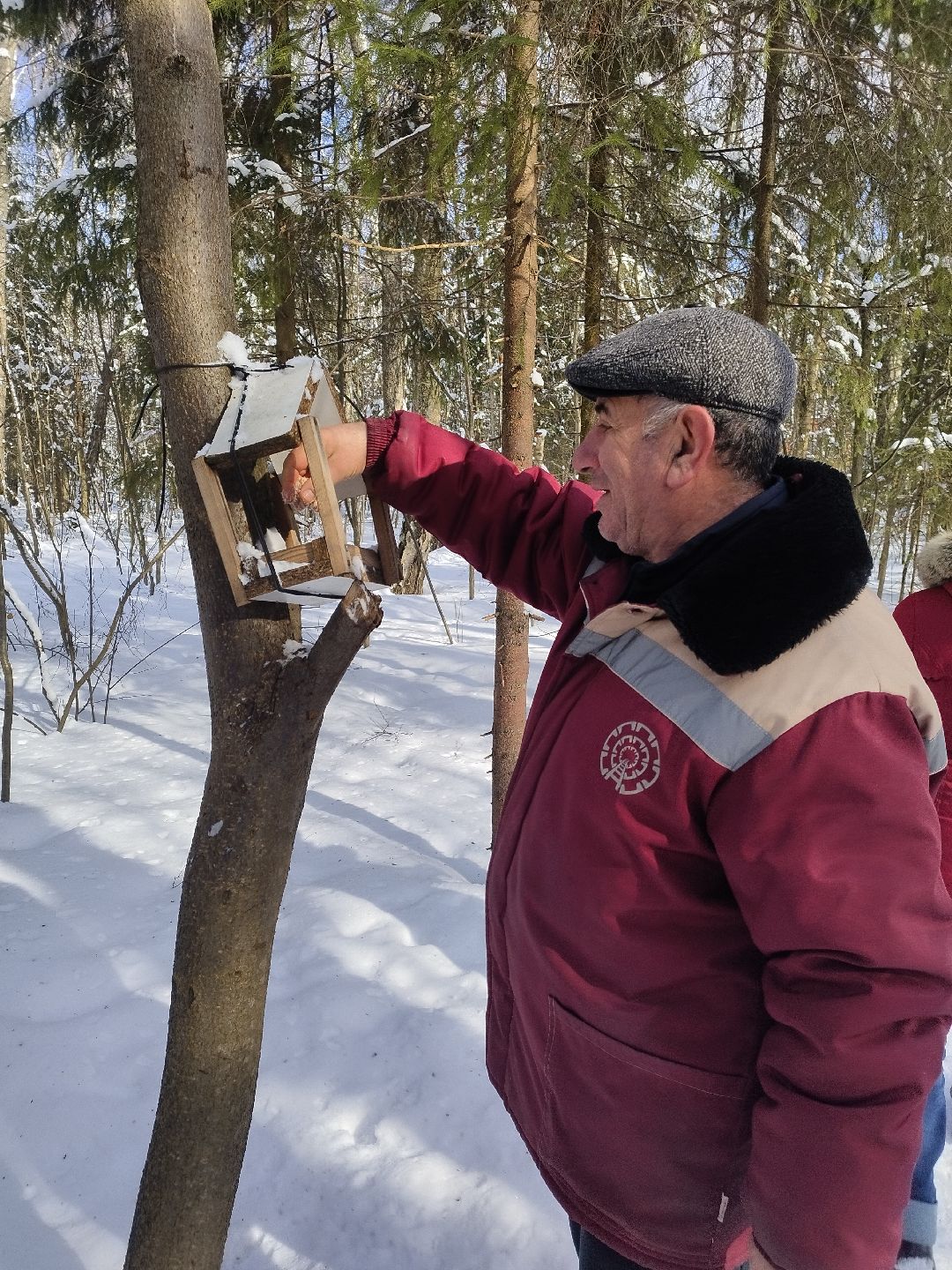 Истра, экология, волонтеры, кормушки, активные жители