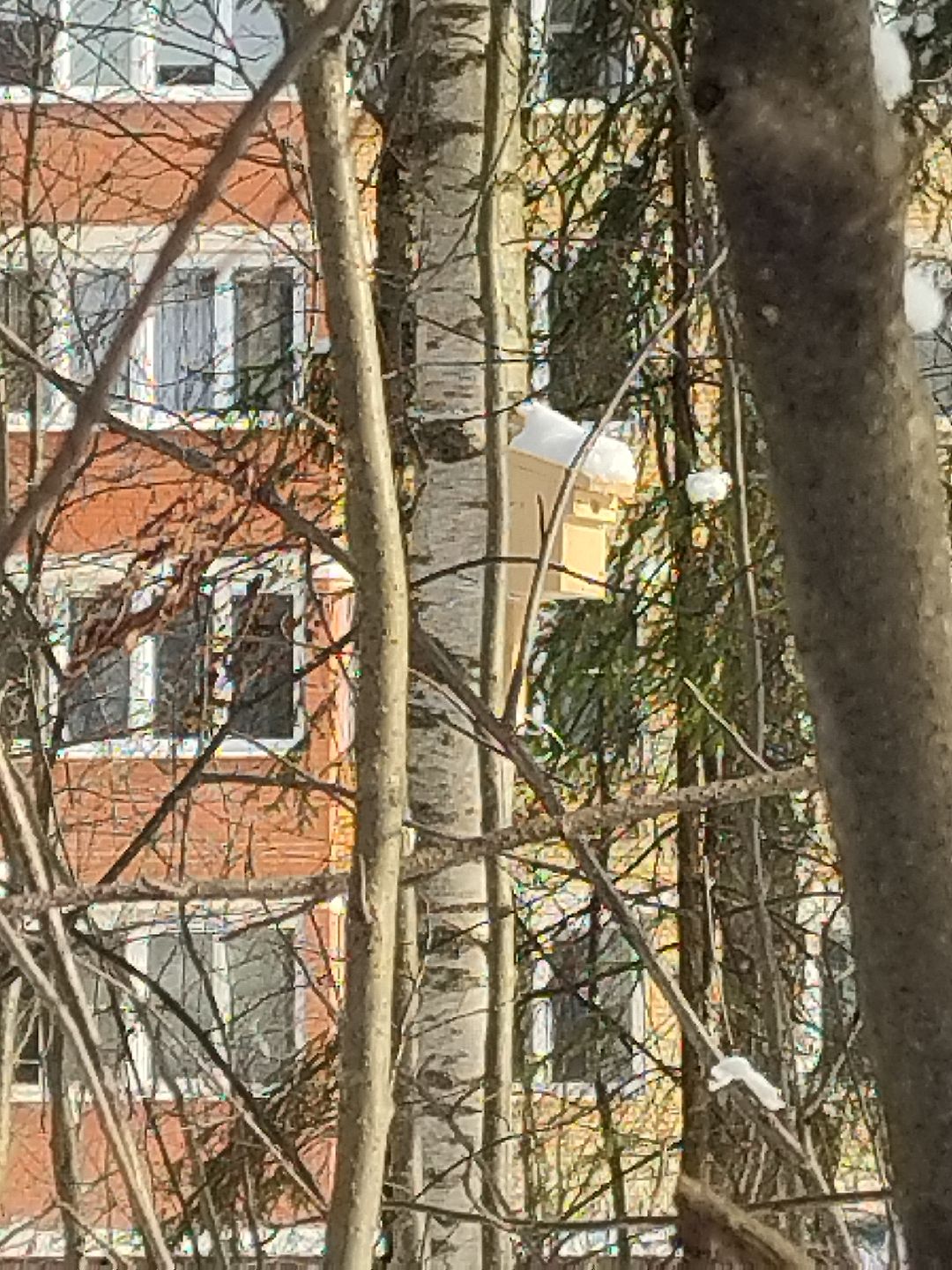 Истра, экология, волонтеры, кормушки, активные жители