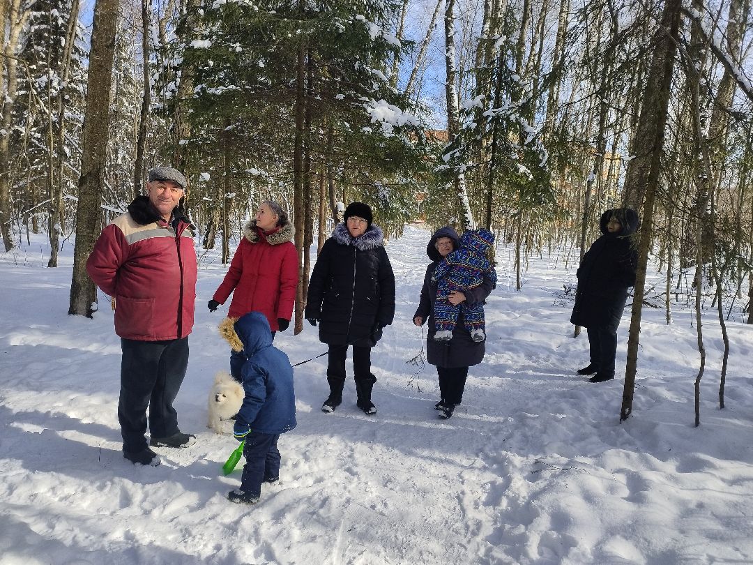 Истра, экология, волонтеры, кормушки, активные жители