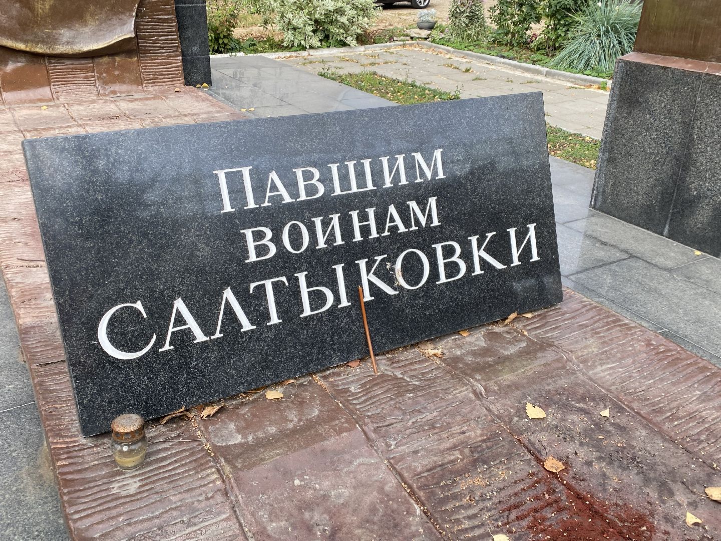 Балашиха, микрорайон салтыковка, активное долголетие,