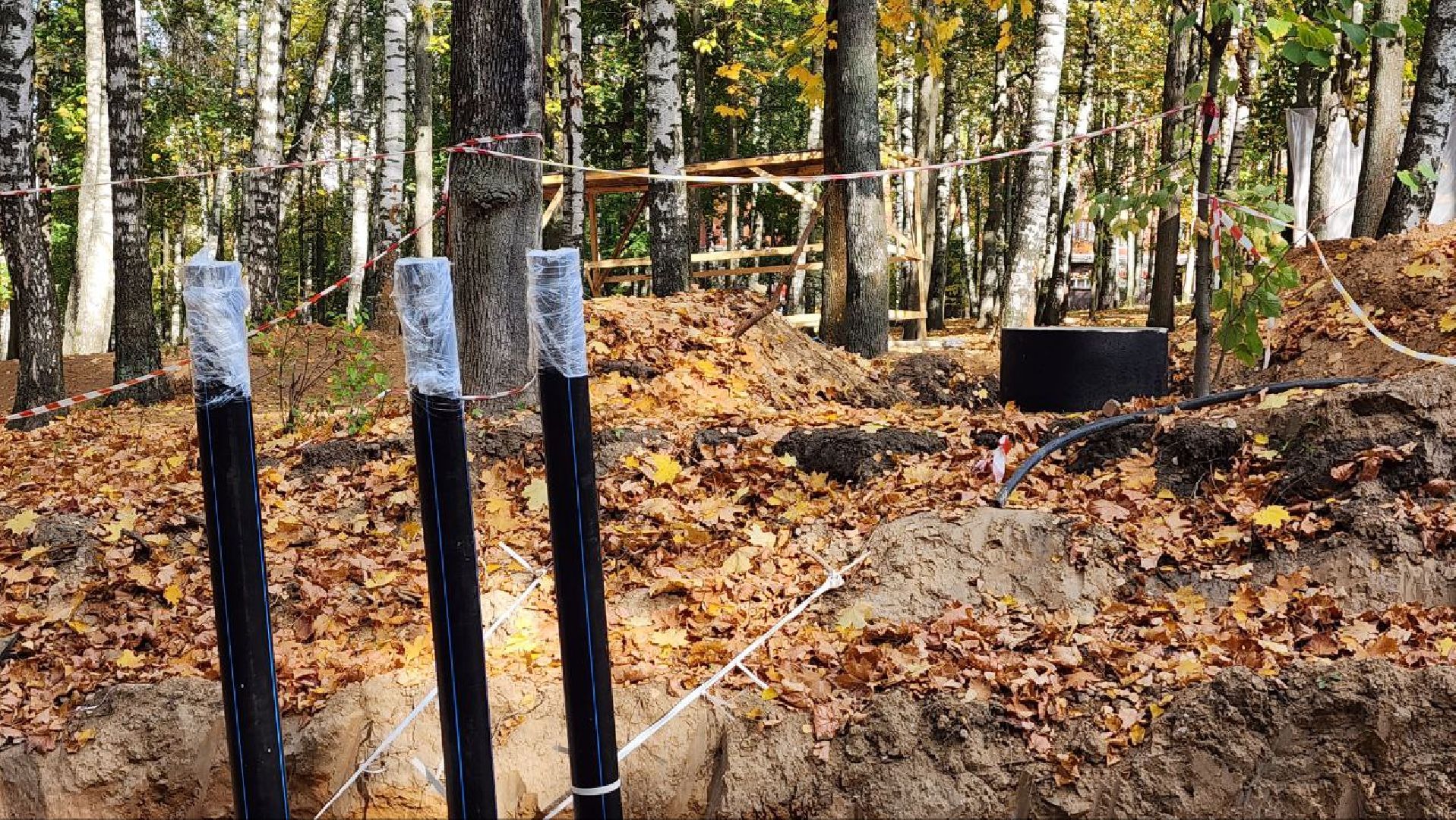 Дмитров, Парк Березовая роща, Минблаго,