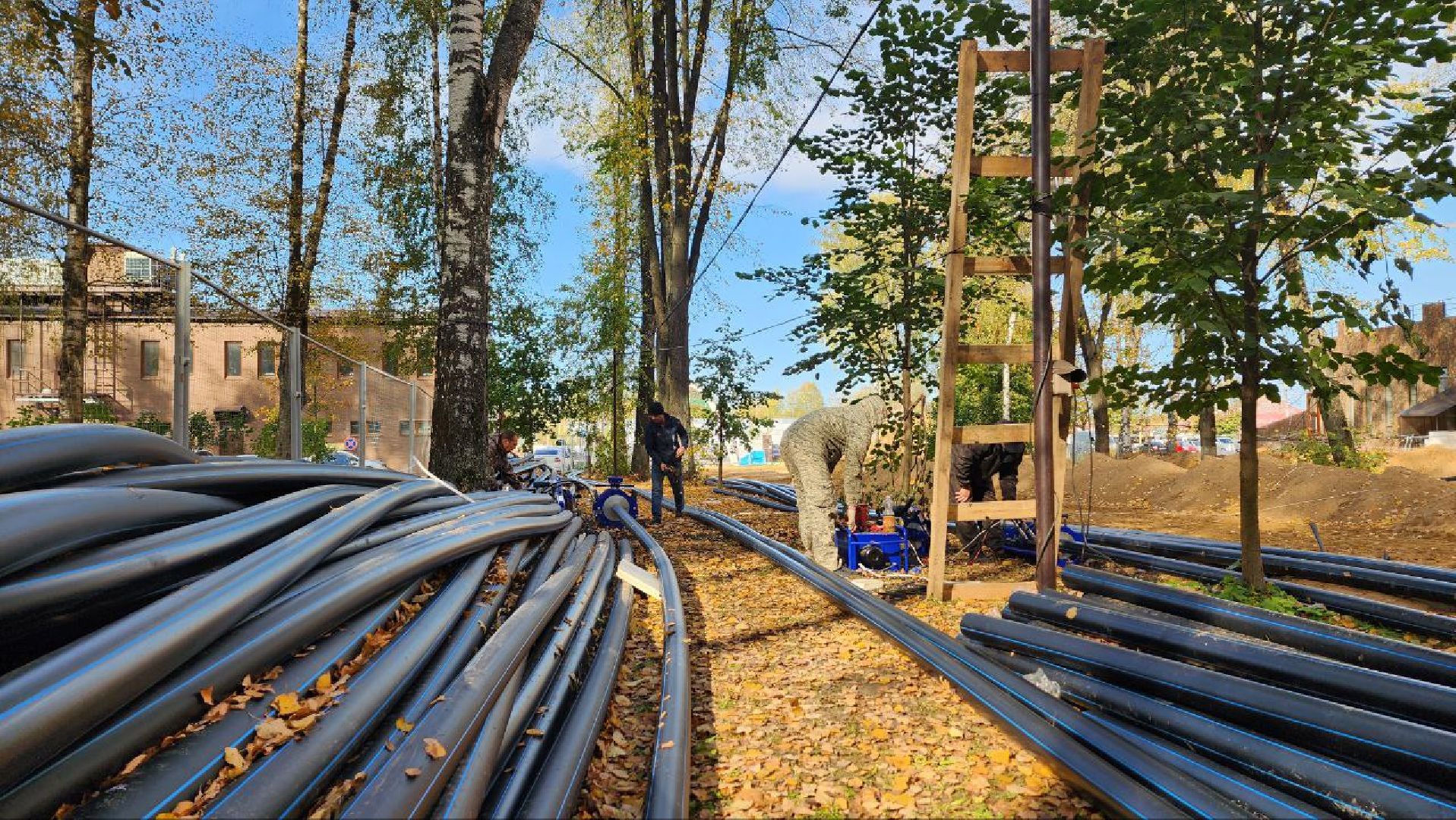 Дмитров, Парк Березовая роща, Минблаго,