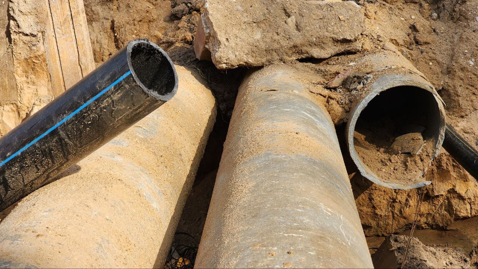 Дмитров, Парк Березовая роща, Минблаго,