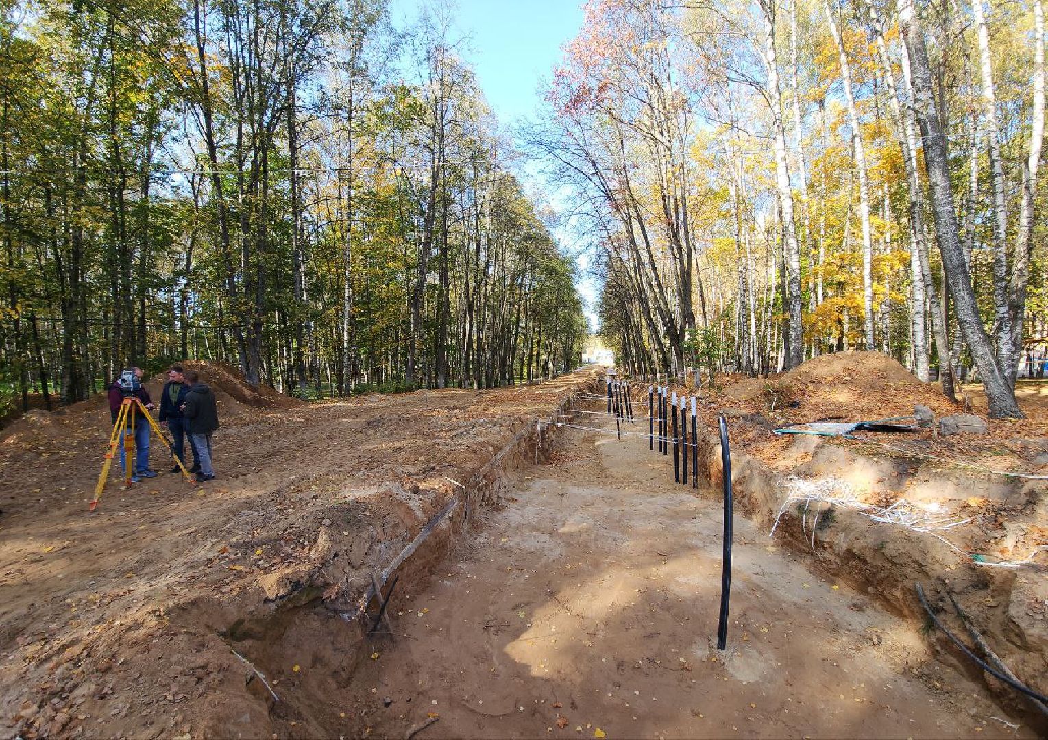 Дмитров, Парк Березовая роща, Минблаго,