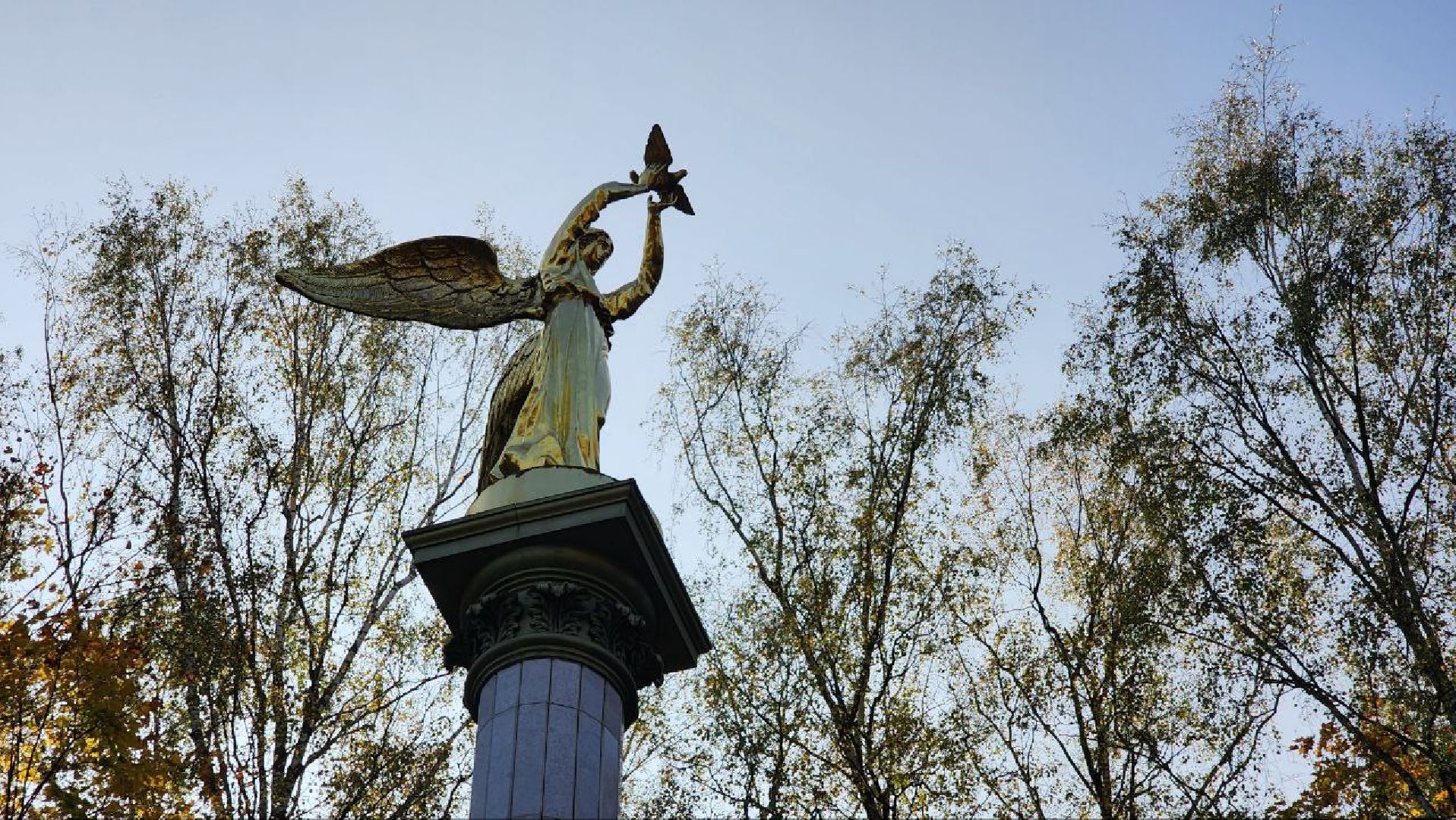 Дмитров, Парк Березовая роща, Минблаго,