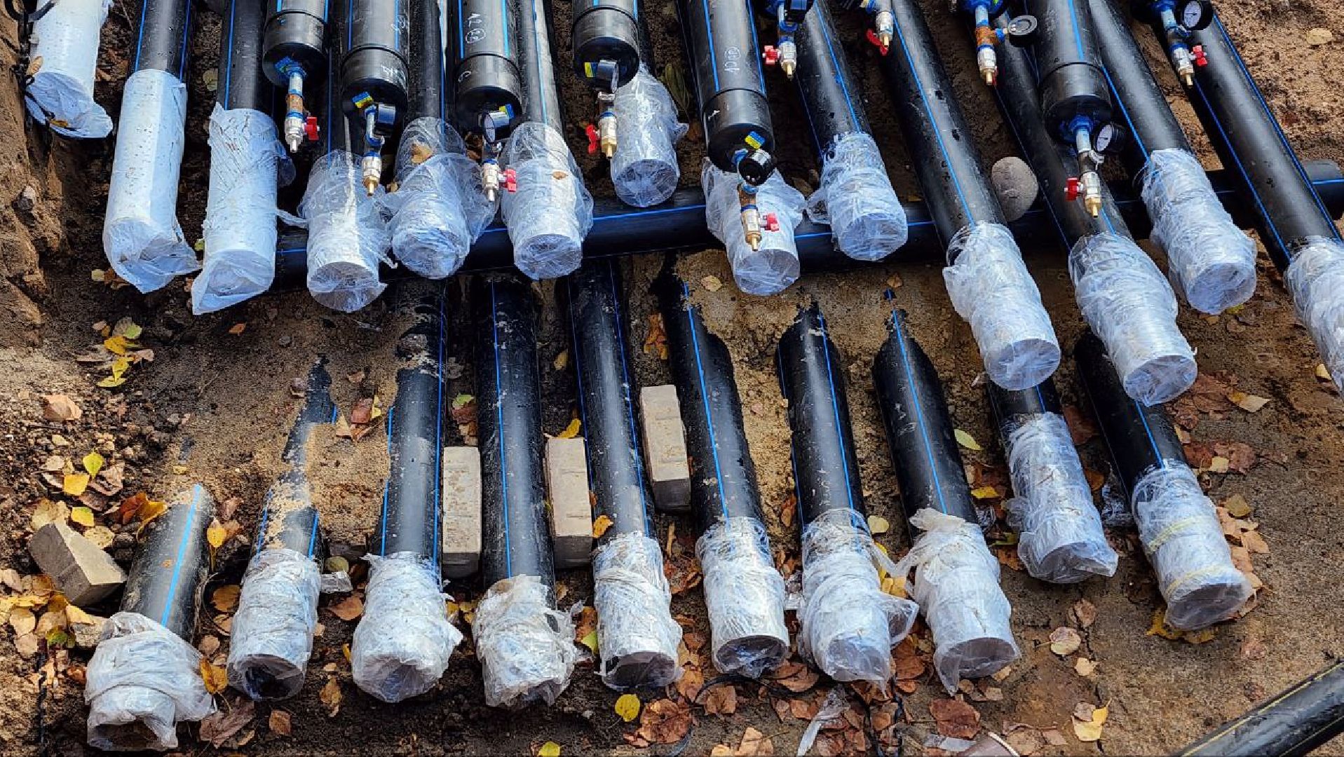 Дмитров, Парк Березовая роща, Минблаго,