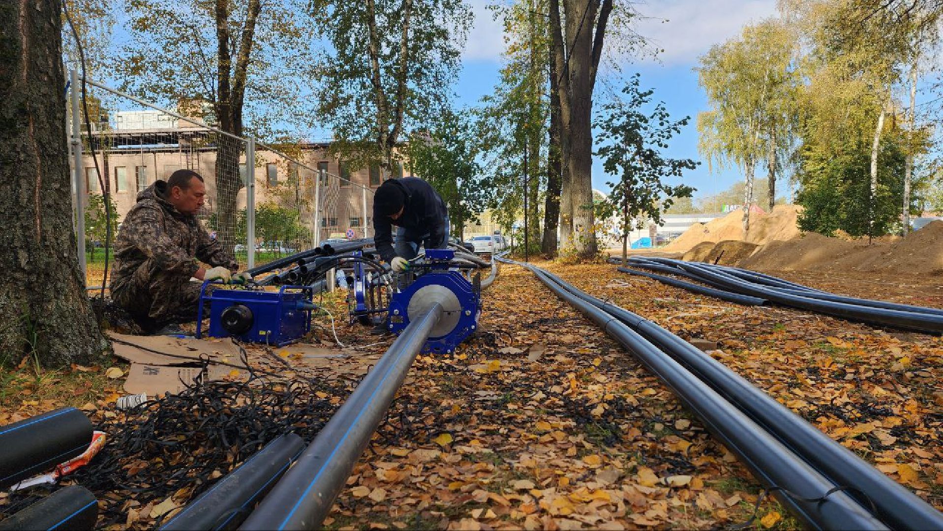 Дмитров, Парк Березовая роща, Минблаго,