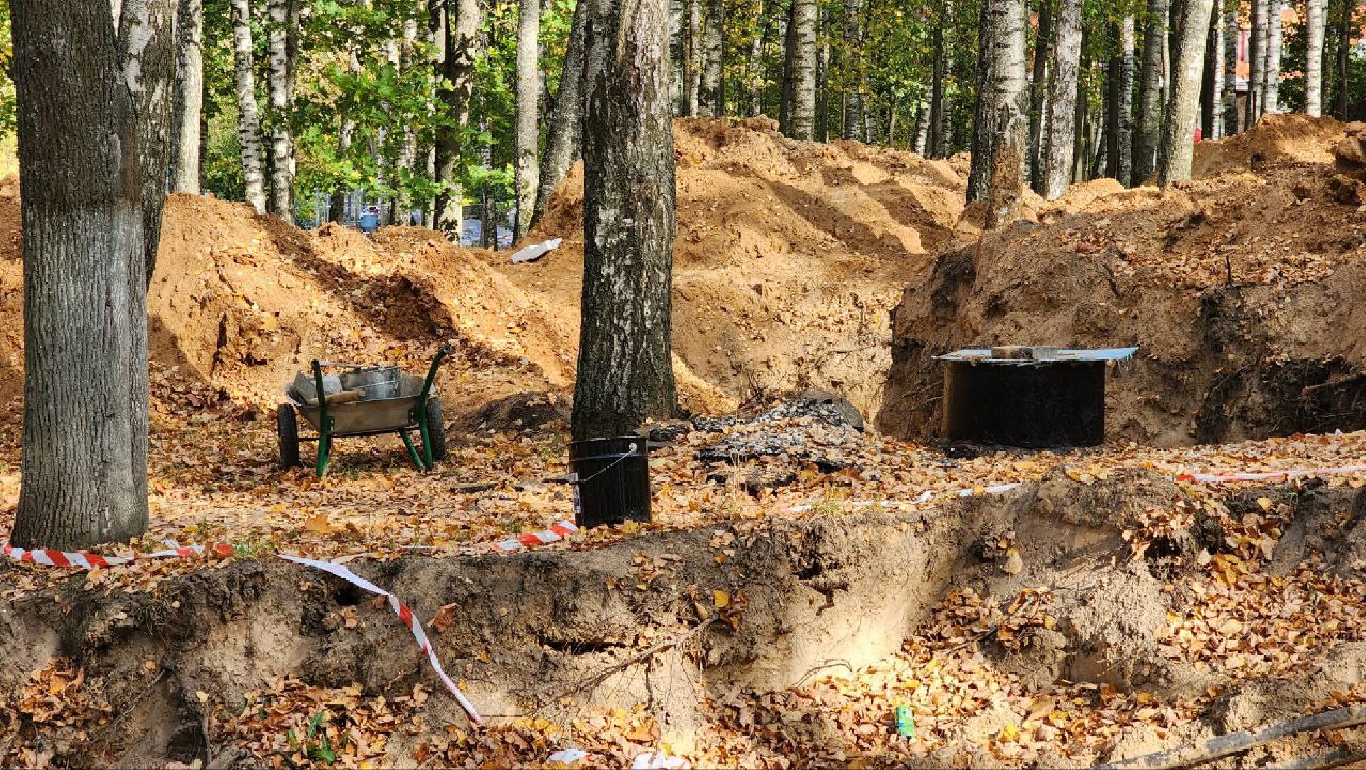 Дмитров, Парк Березовая роща, Минблаго,