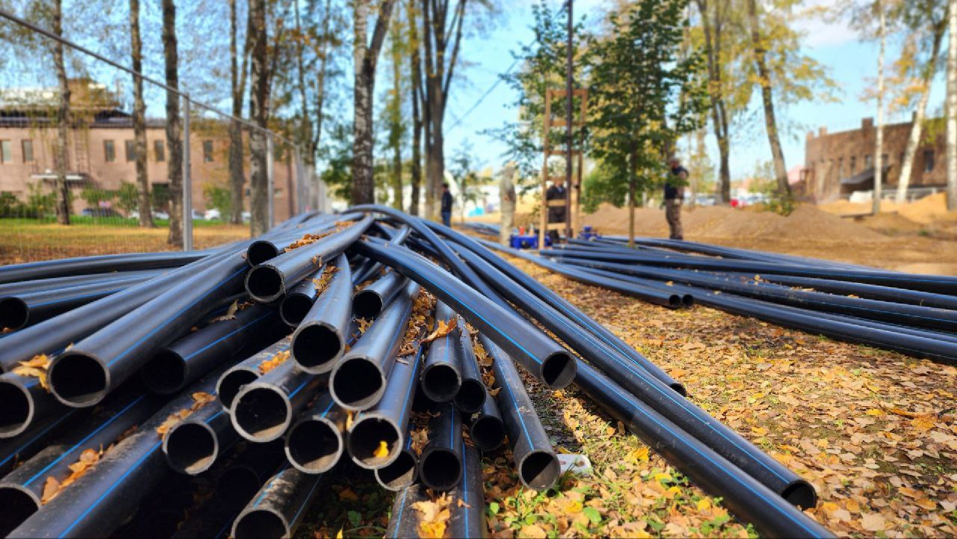 Дмитров, Парк Березовая роща, Минблаго,