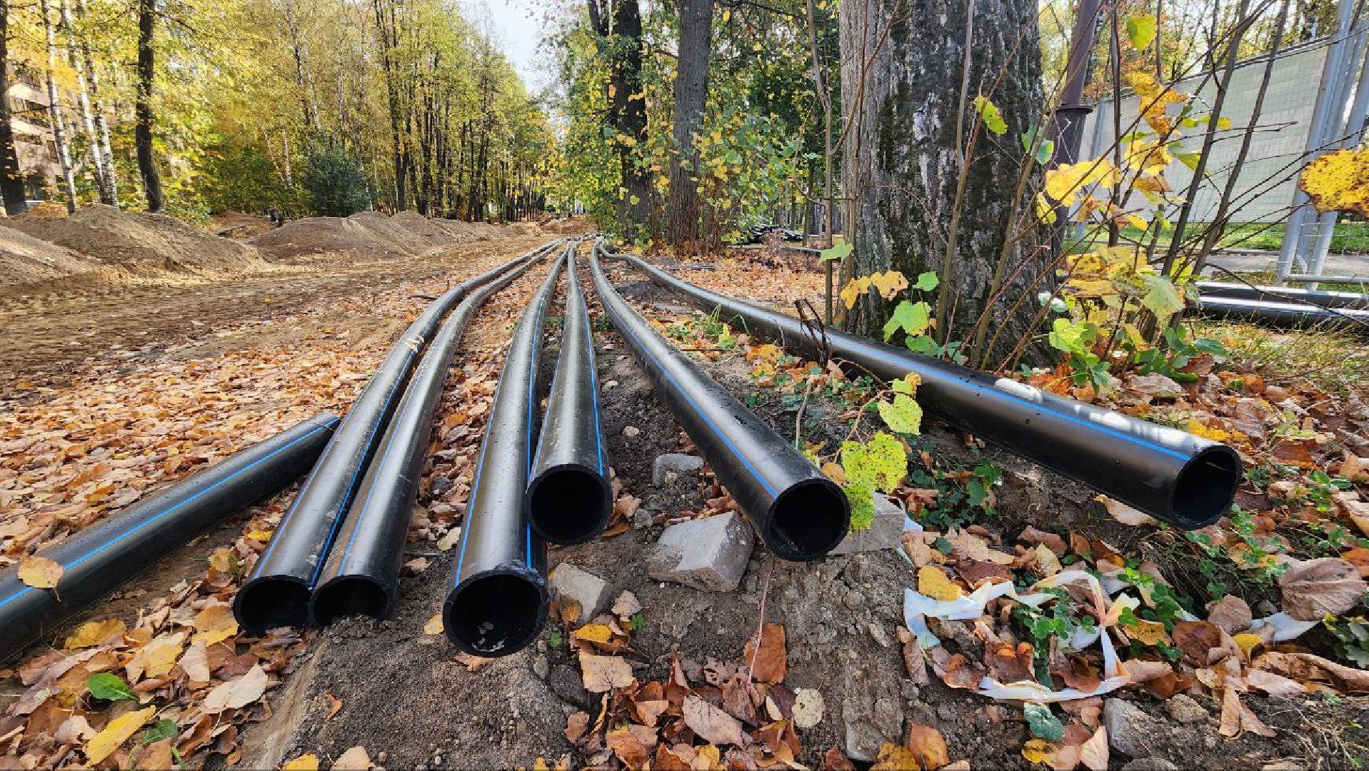 Дмитров, Парк Березовая роща, Минблаго,