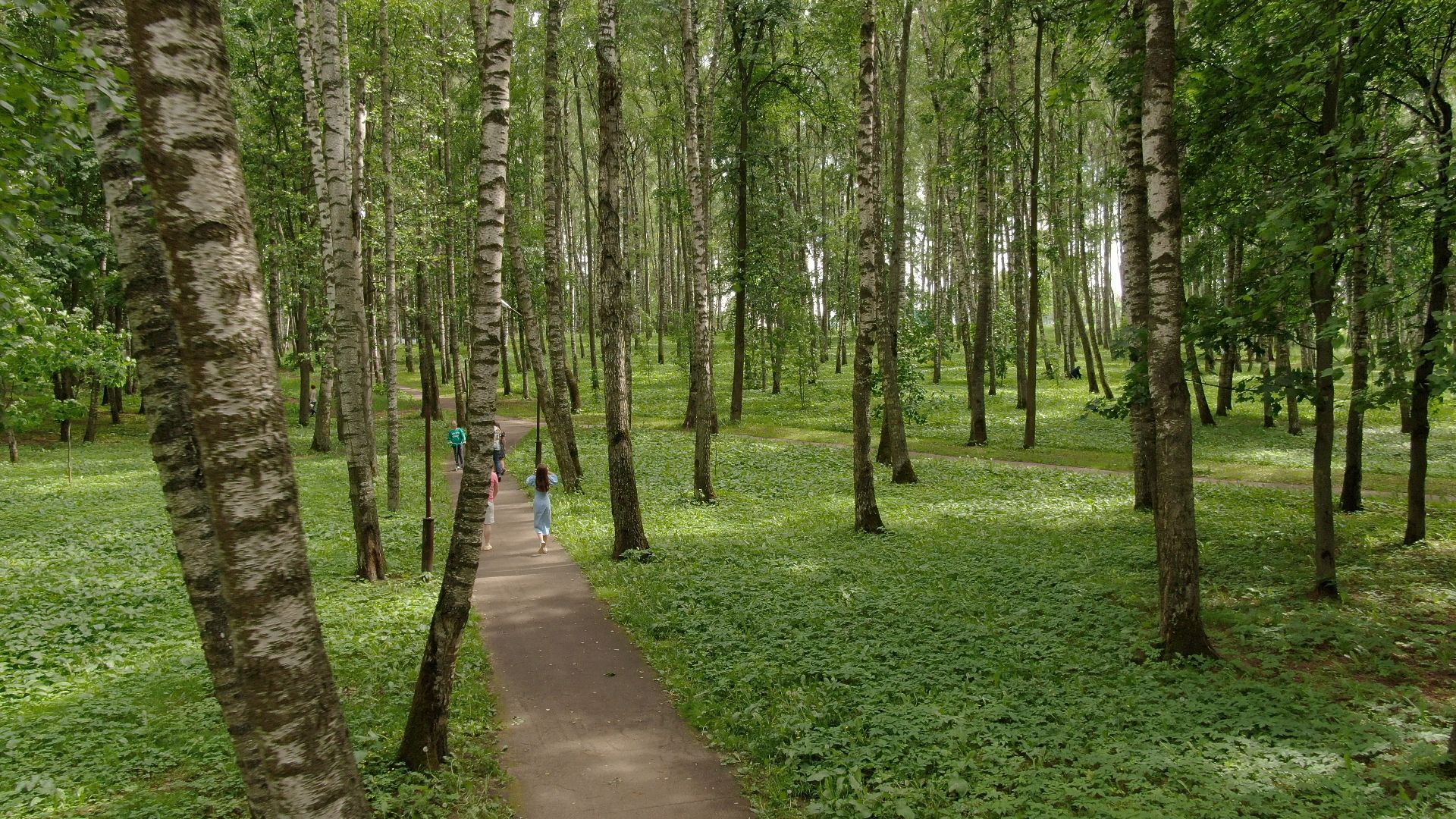 дмитров, гольф, поля,видео с коптера,