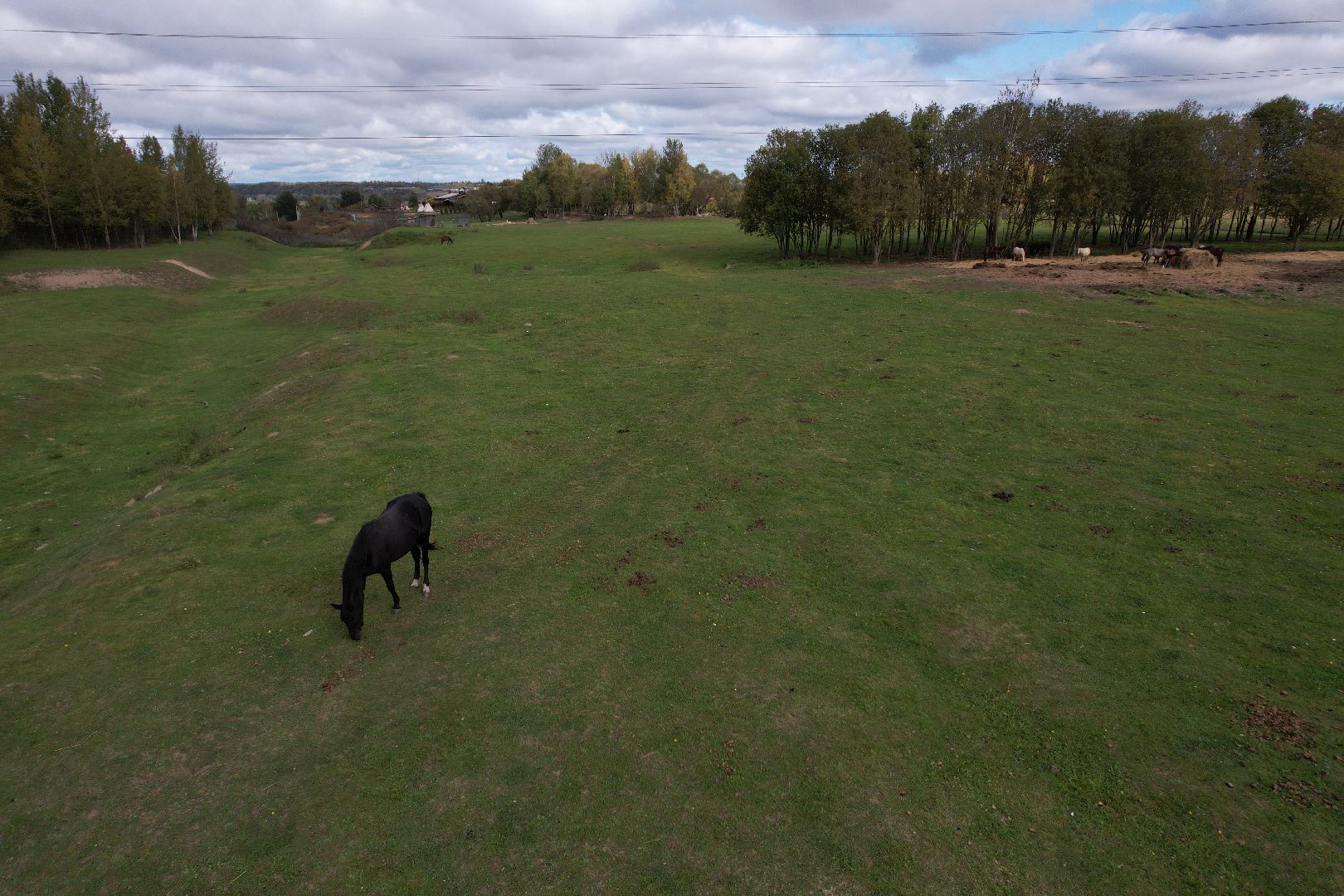 ранчо, туризм, можайск, кони,видео с коптера,